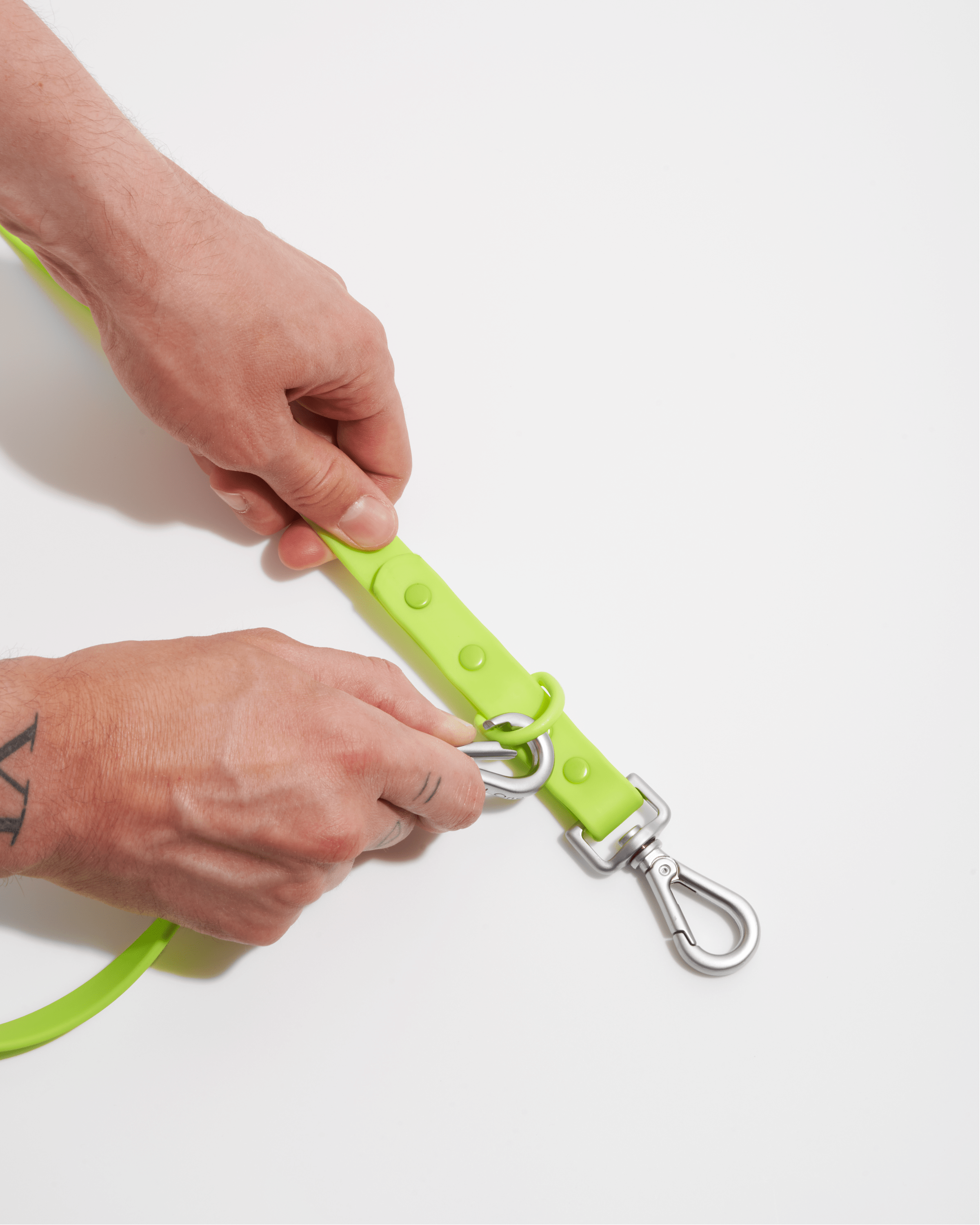 Dog Leash