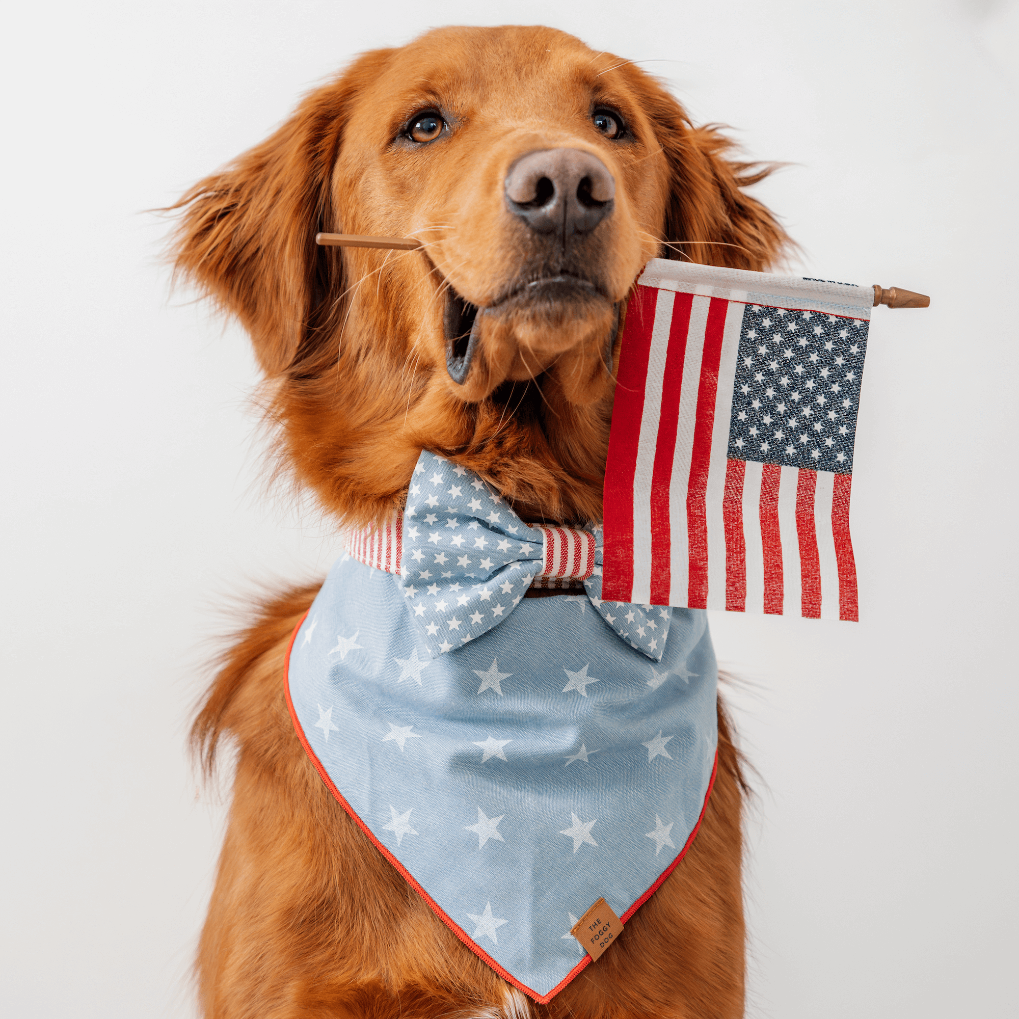 Liberty Dog Bandana