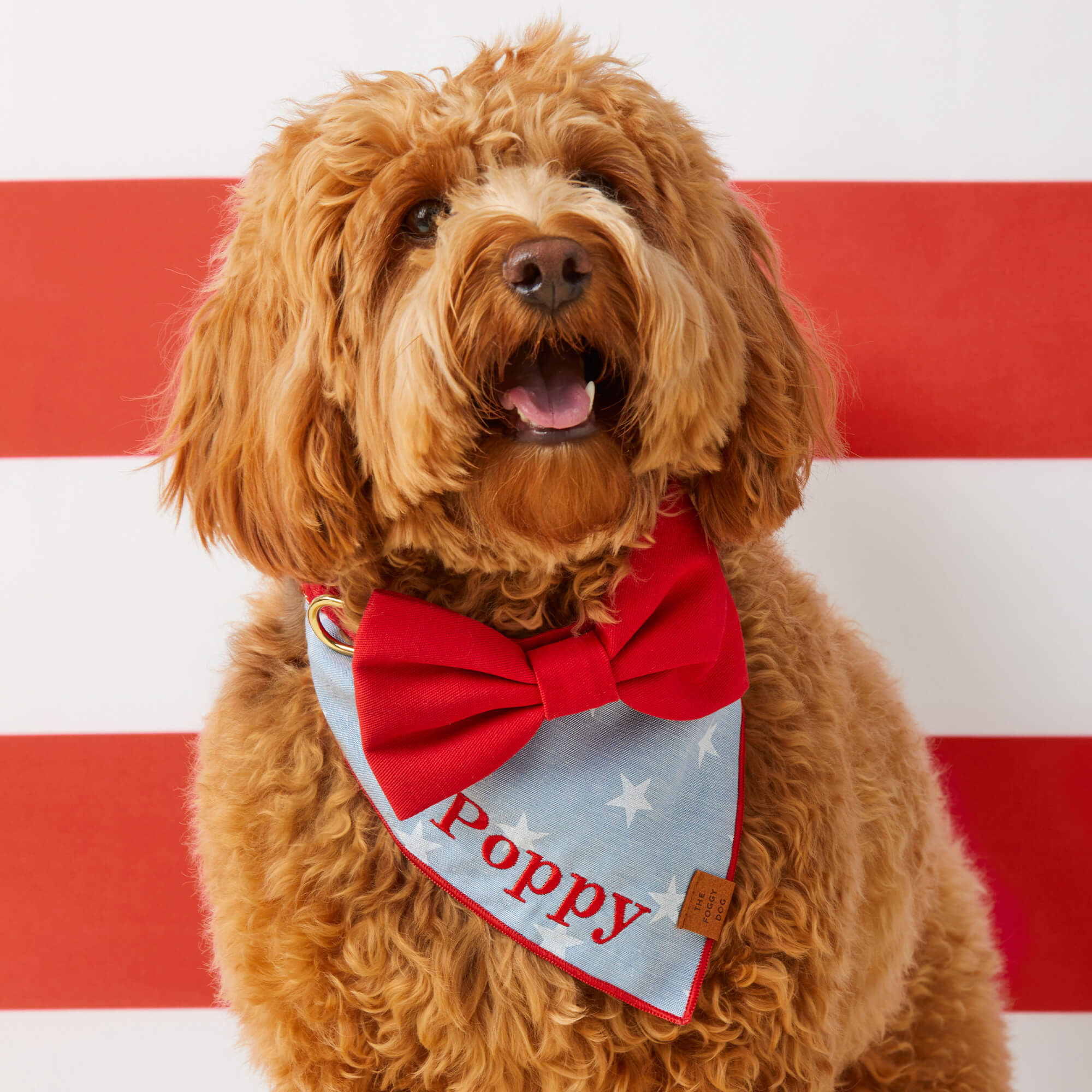 Liberty Dog Bandana