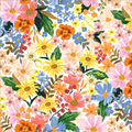 Rifle Paper Co. x TFD Garden Party Dog Collar