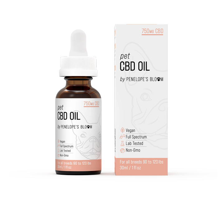 CBD Oil For Dogs 250mg – 1000mg