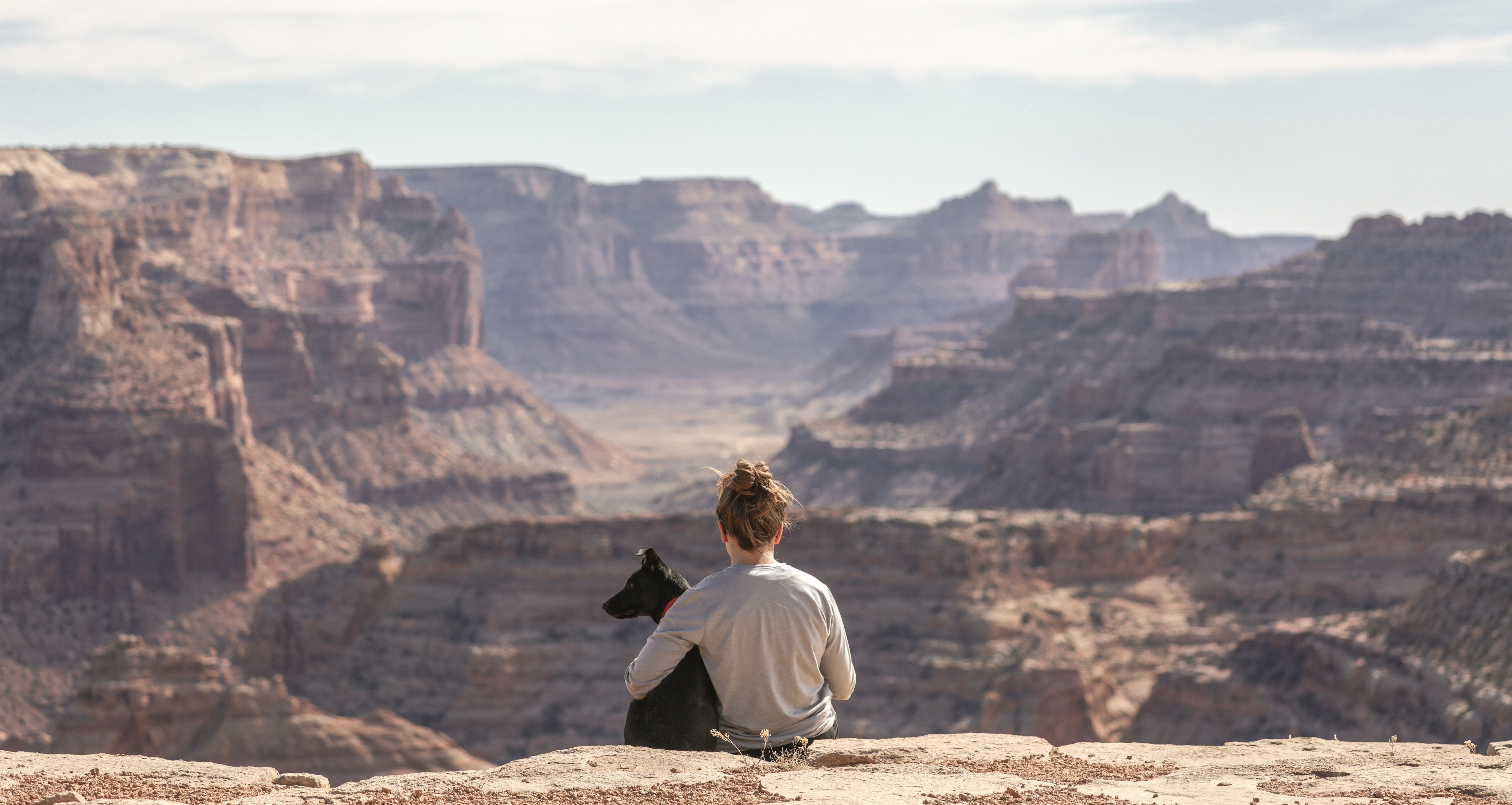 Person and black dog sitting on a cliff overlooking the Grand Canyon