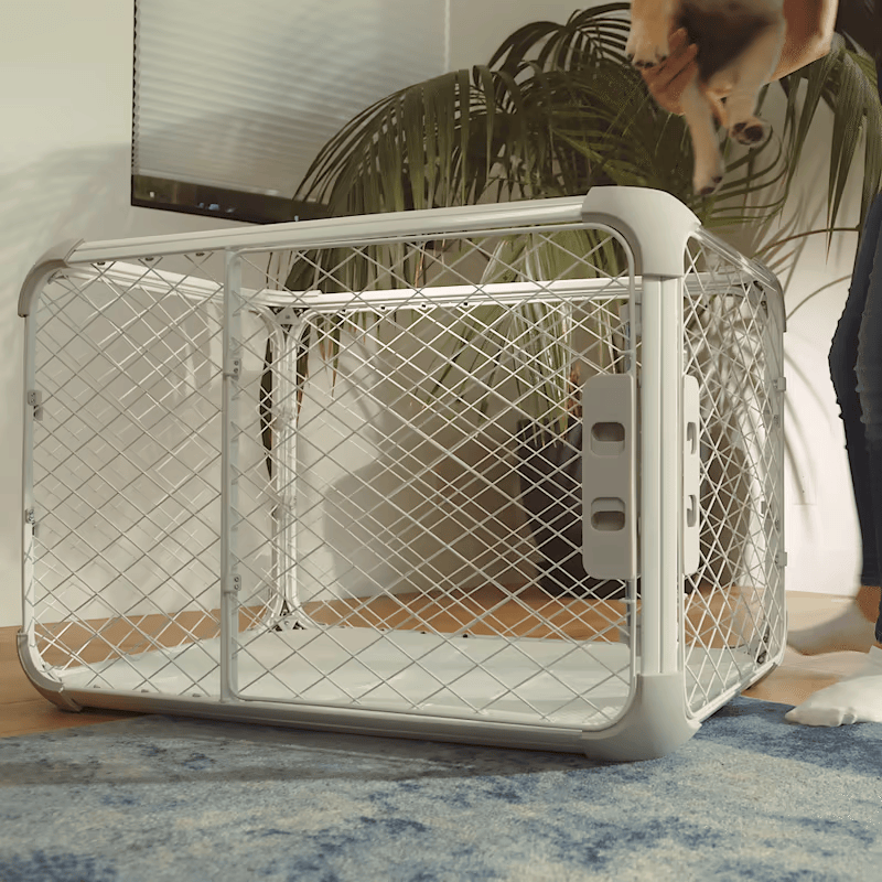 Evolv Dog Crate