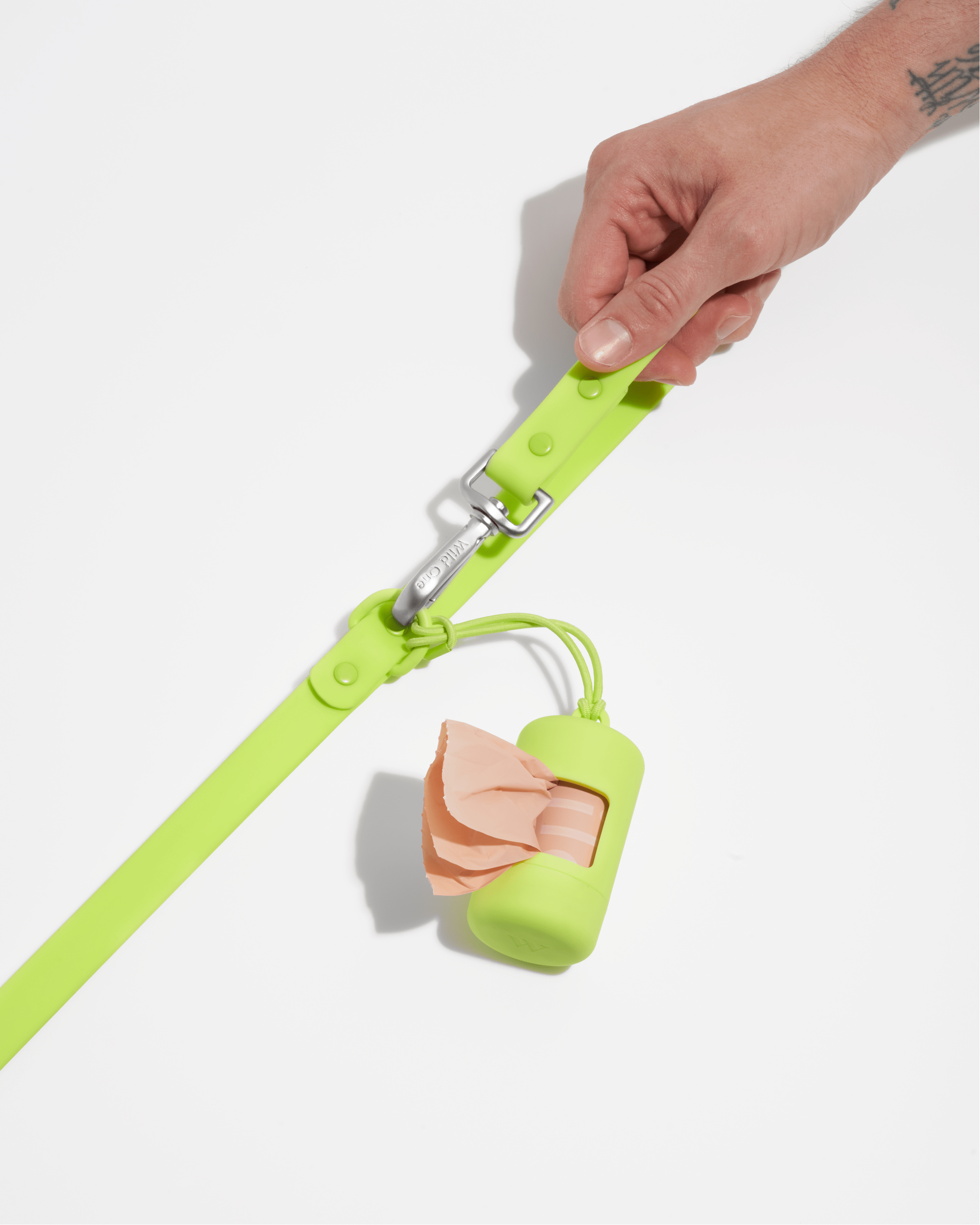 Dog Leash