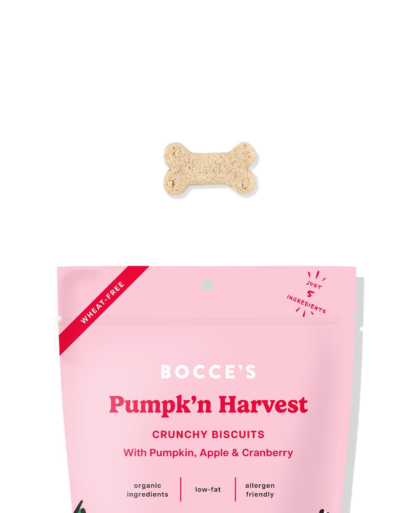 Pumpk'n Harvest Biscuits