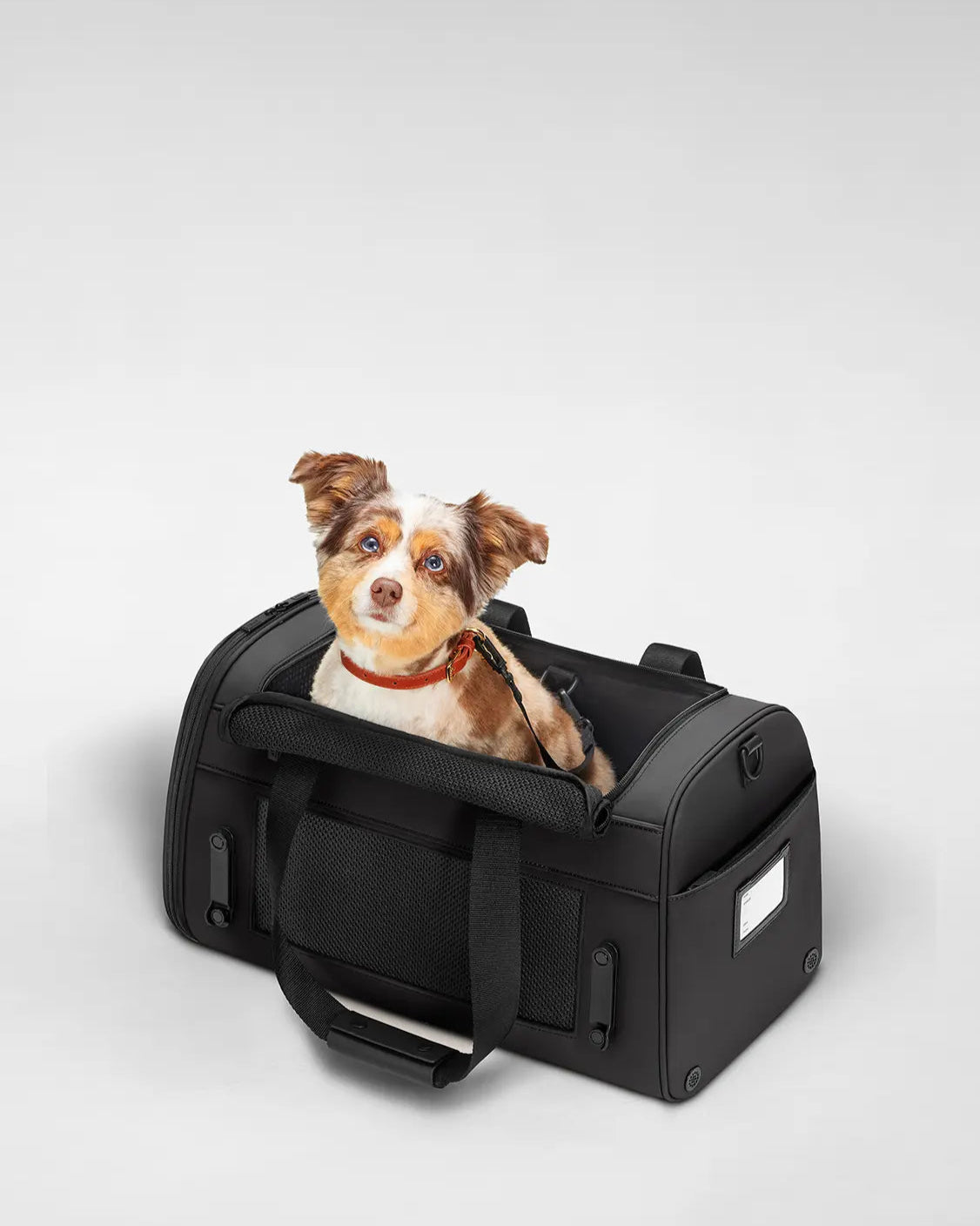 Puppy Dog Away Travel Pet Carrier_Black_Bag