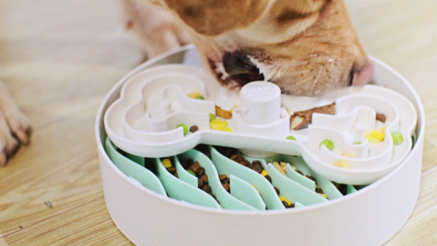 Puzzle Feeder™ Wave - Slower than a Slow Feeder - For Dogs (Green)
