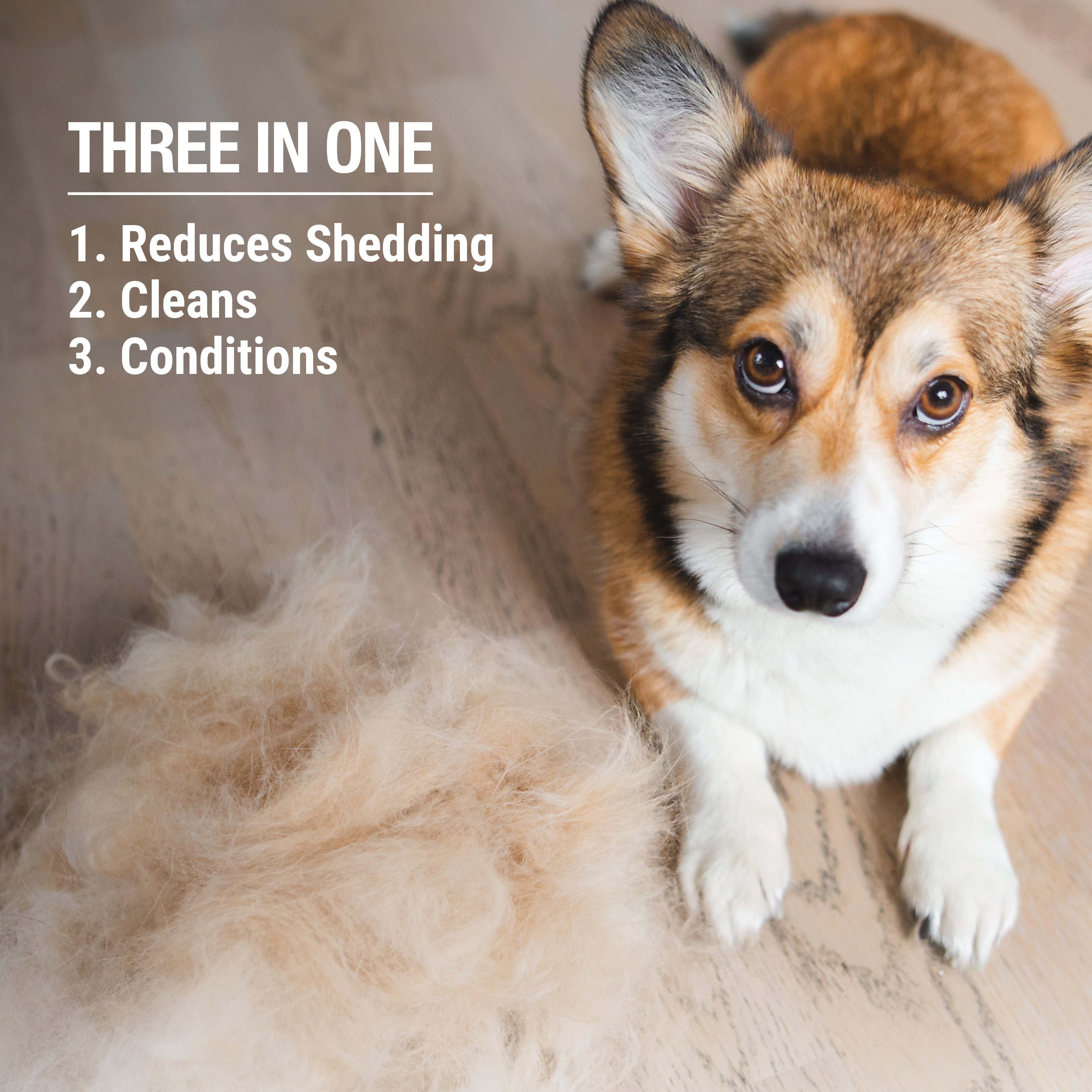 3-in-1 Shed Control Shampoo with Conditioner (Sweet Orange & Coconut)