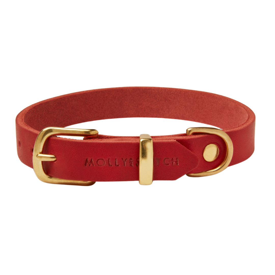 Soft leather dog collar with gleaming brass hardware and a Scandinavian design
