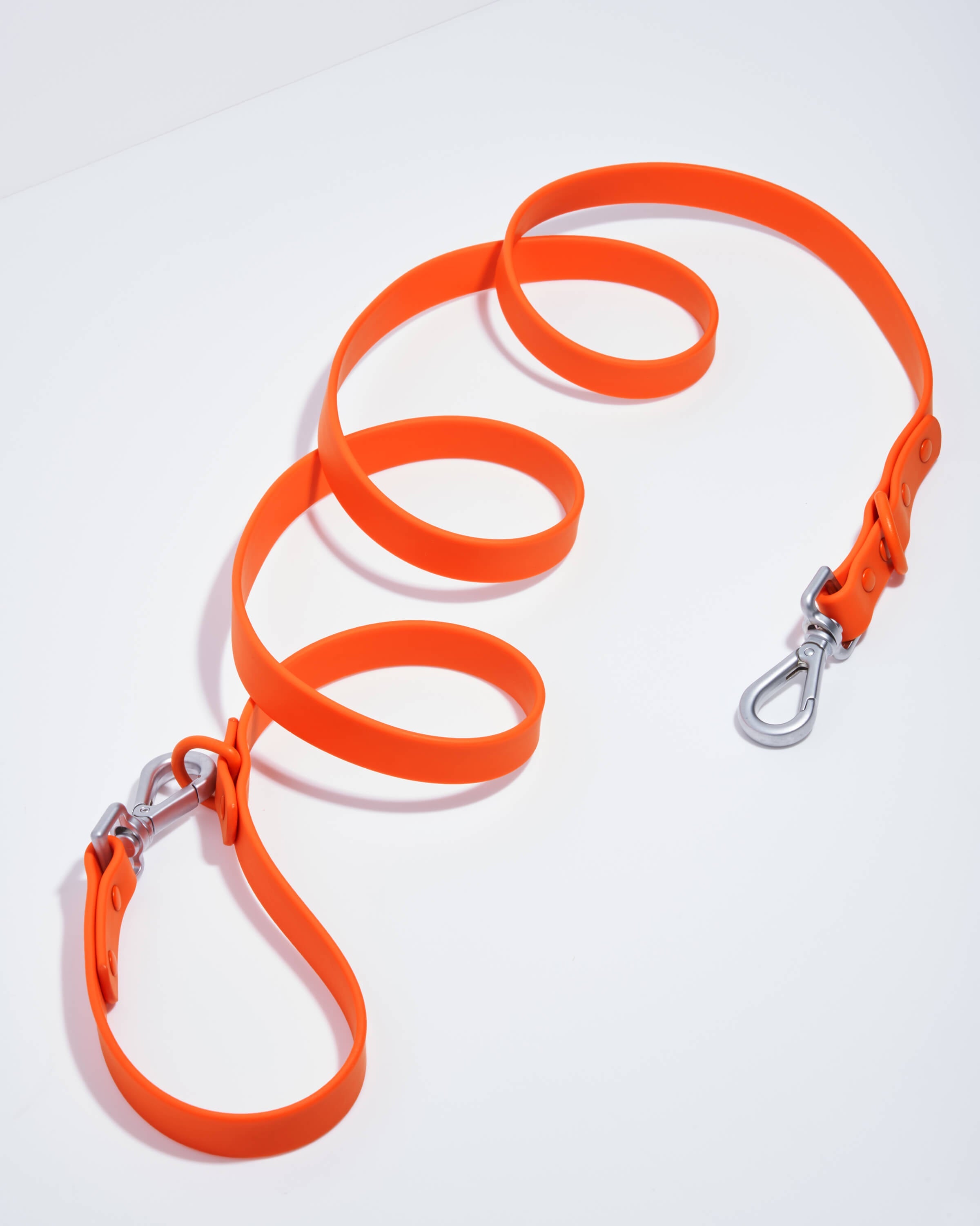 Dog Leash