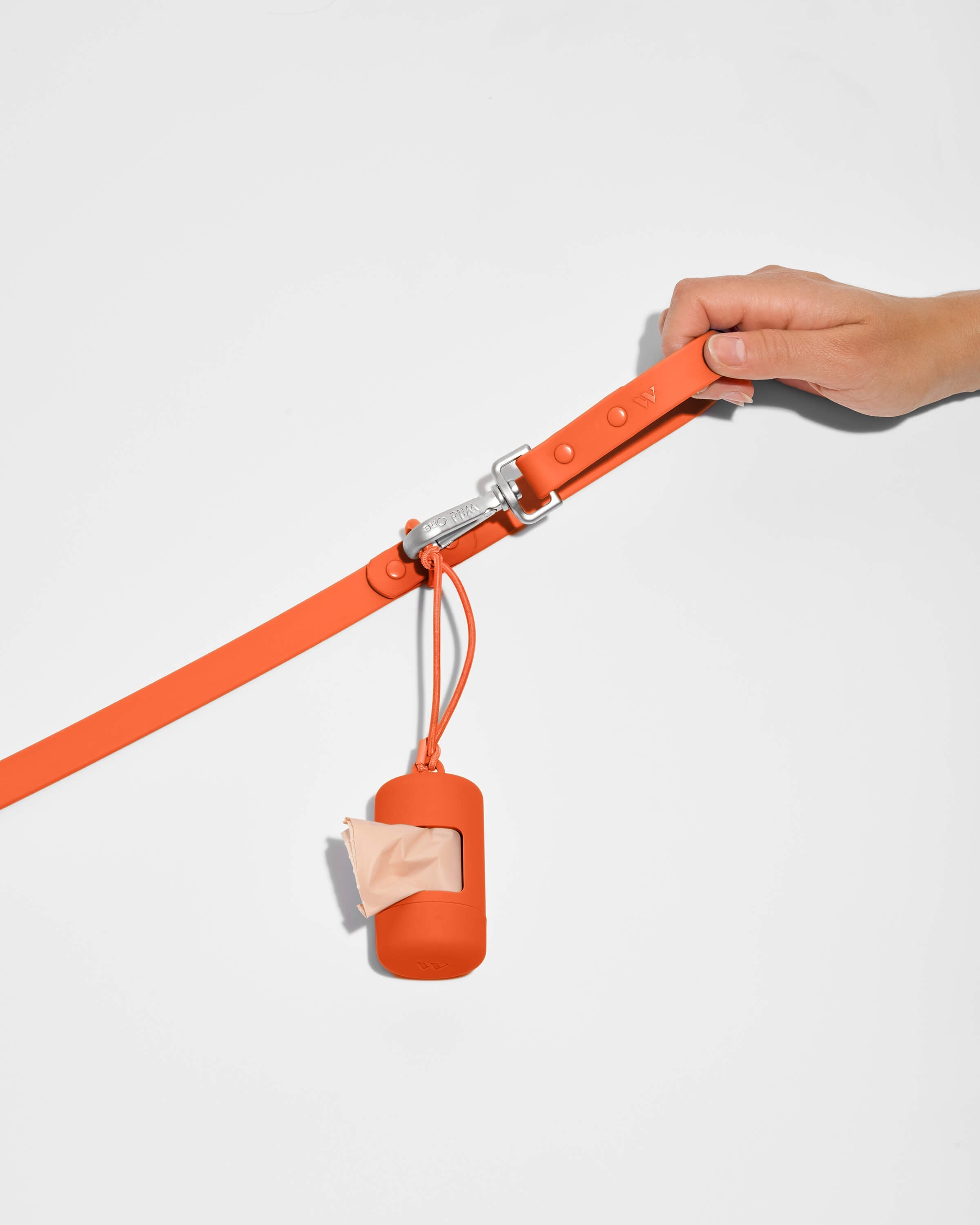 Dog Leash