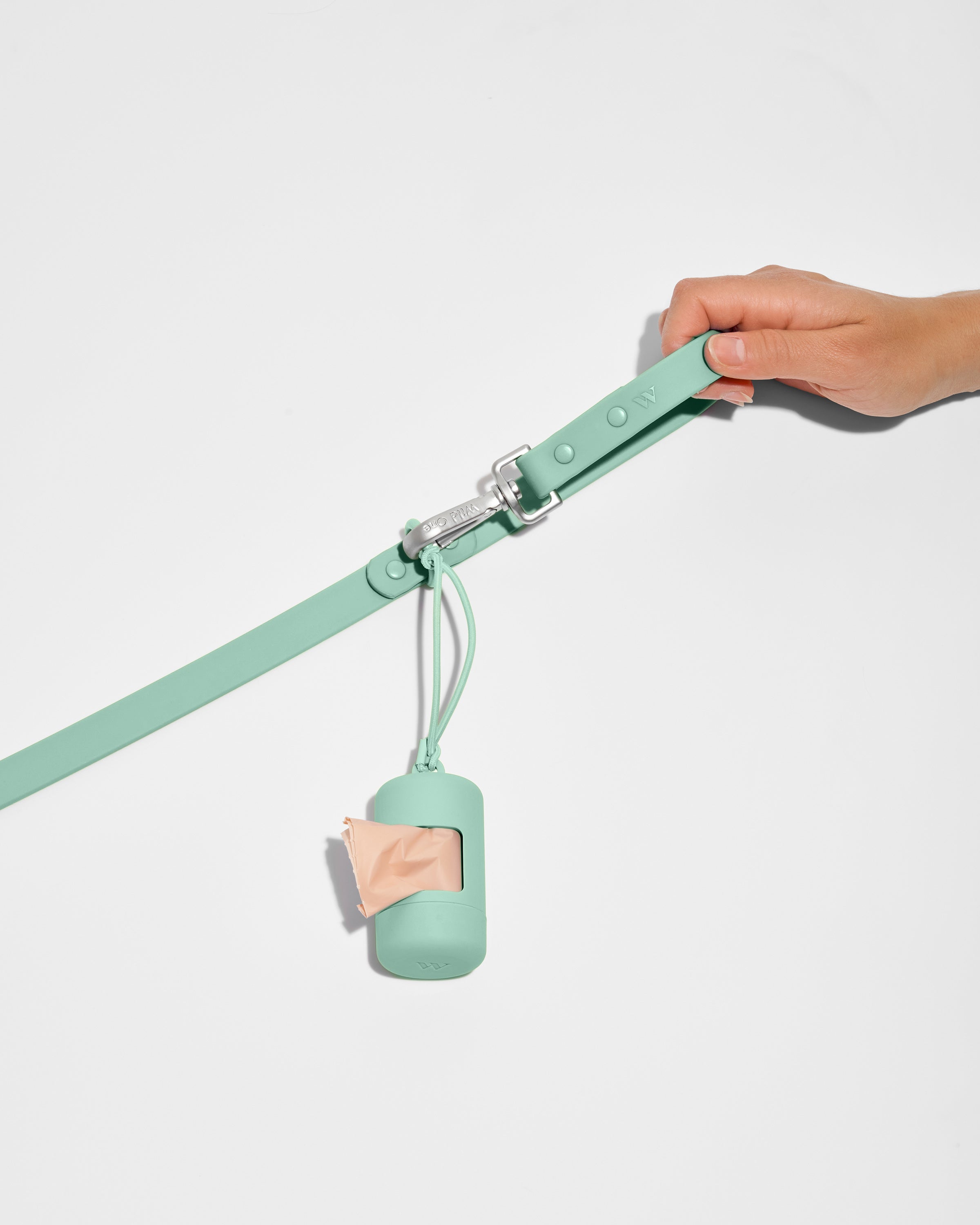 Dog Leash
