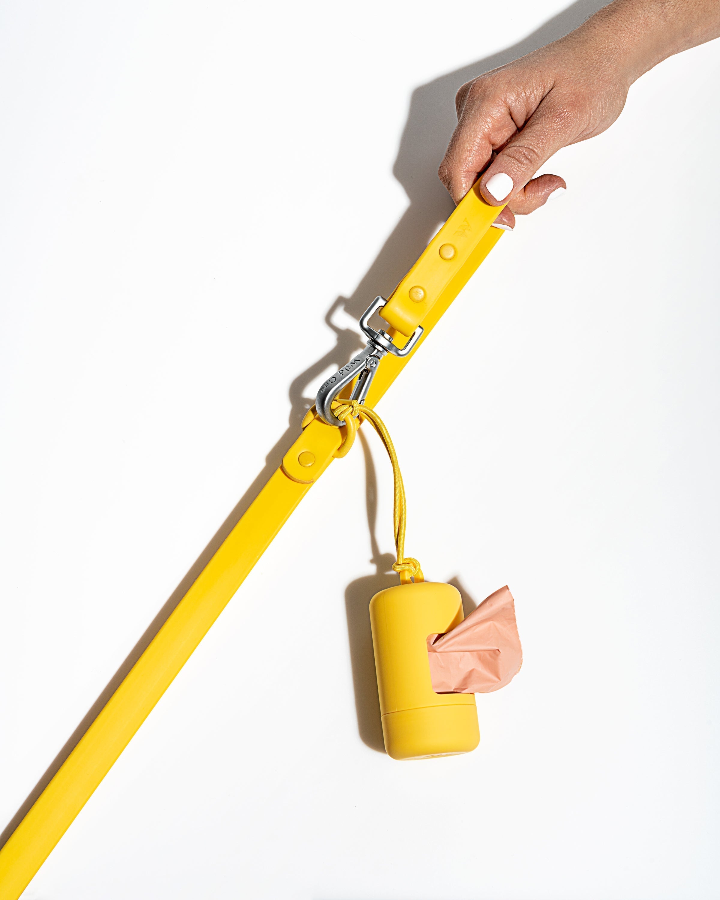 Dog Leash