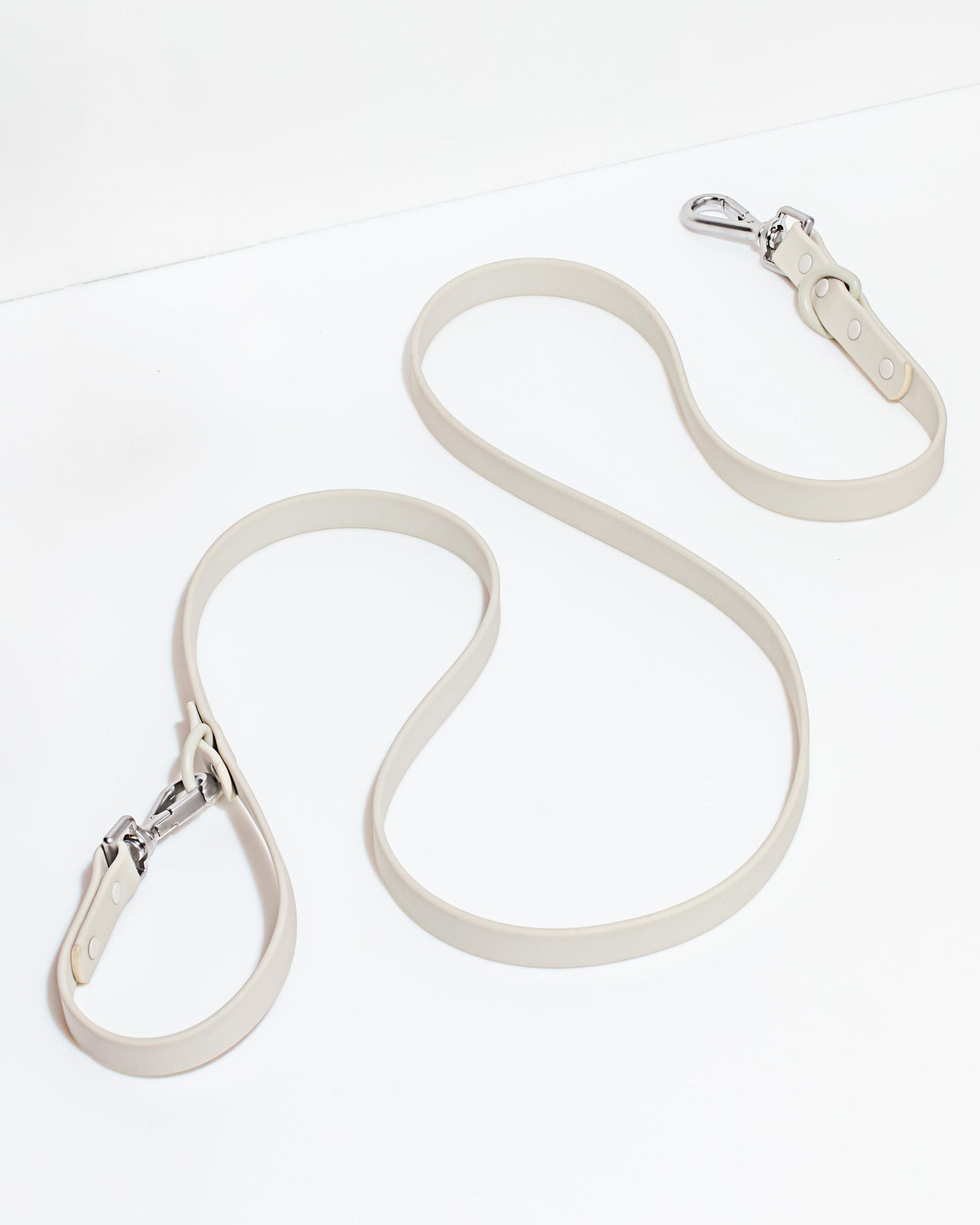 Dog Leash