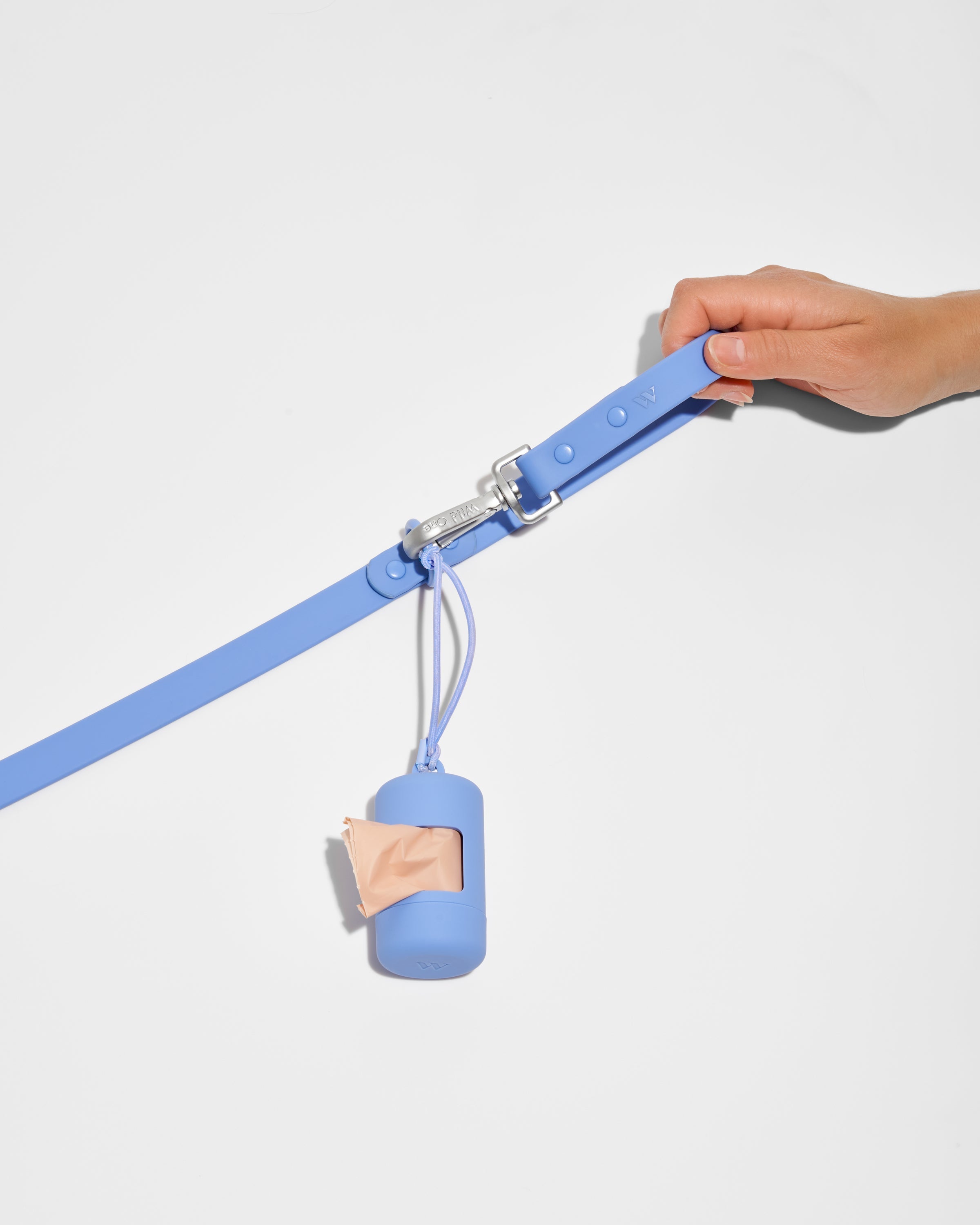Dog Leash
