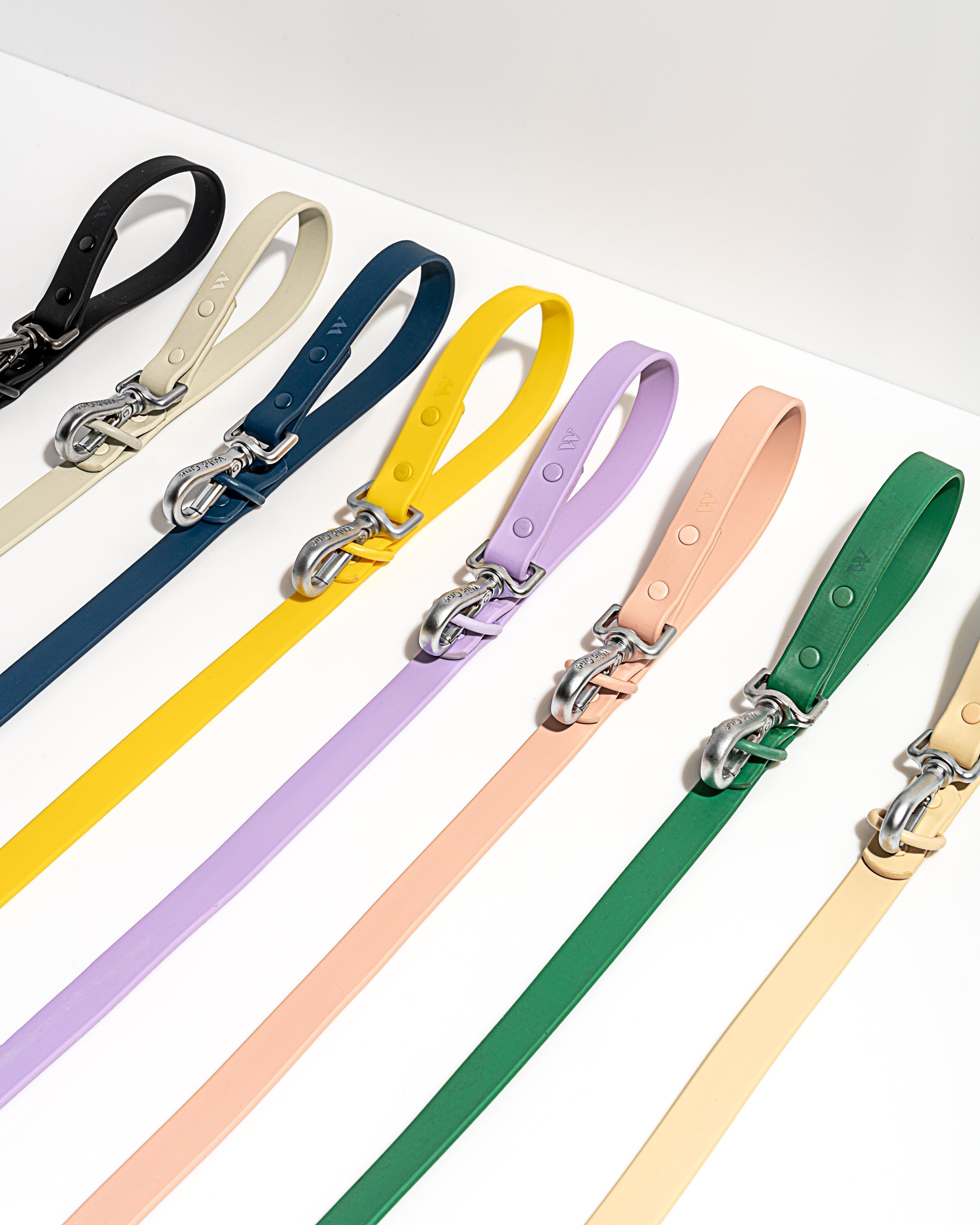 Dog Leash