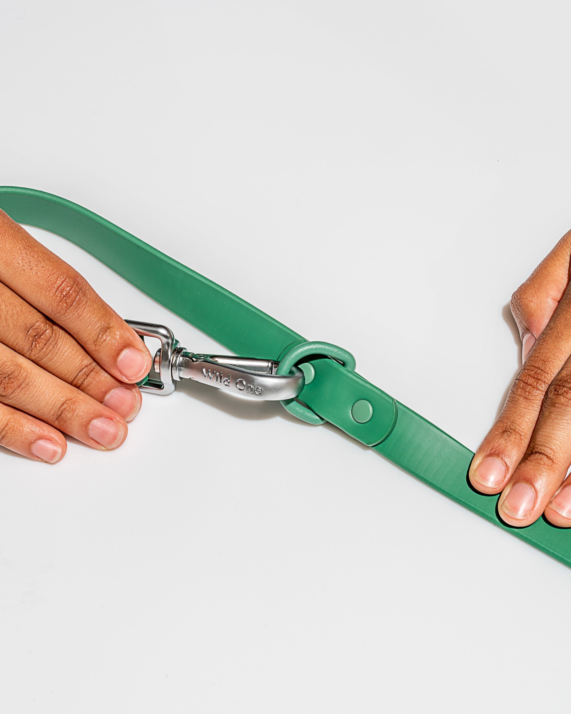 Dog Leash