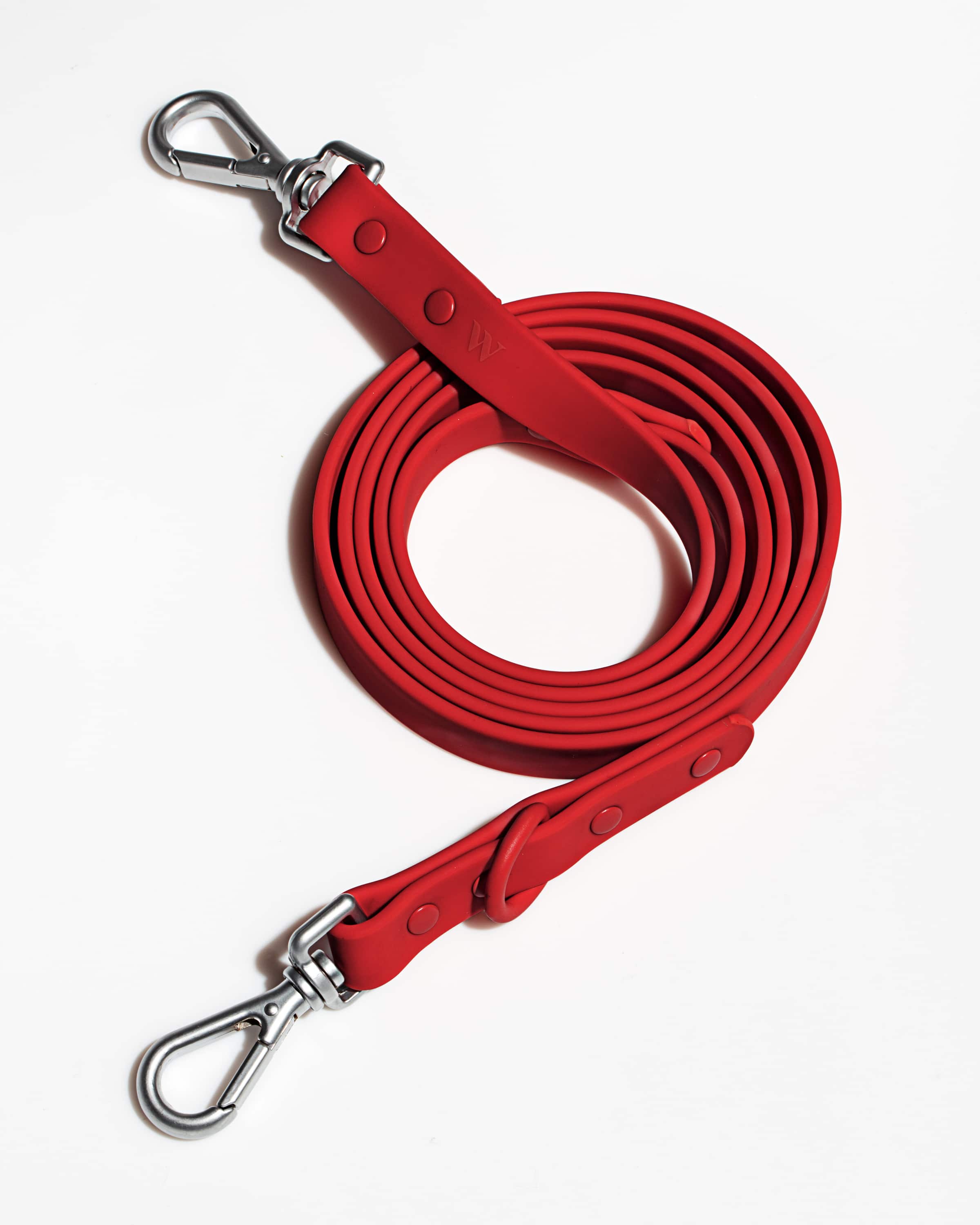 Dog Leash