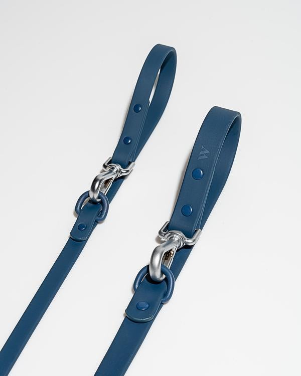 Dog Leash