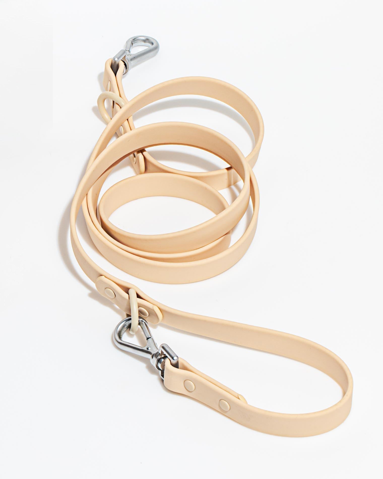 Dog Leash