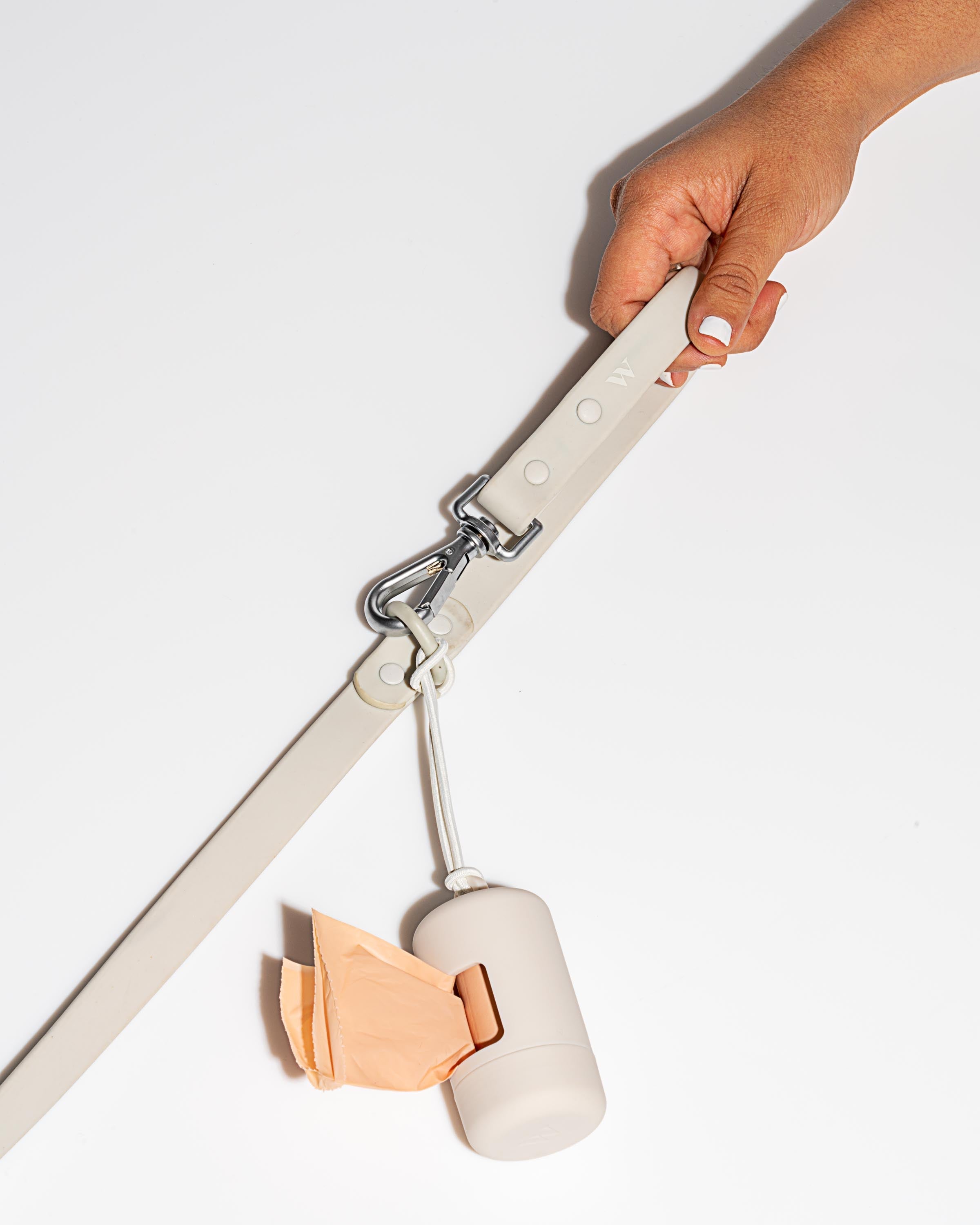 Dog Leash