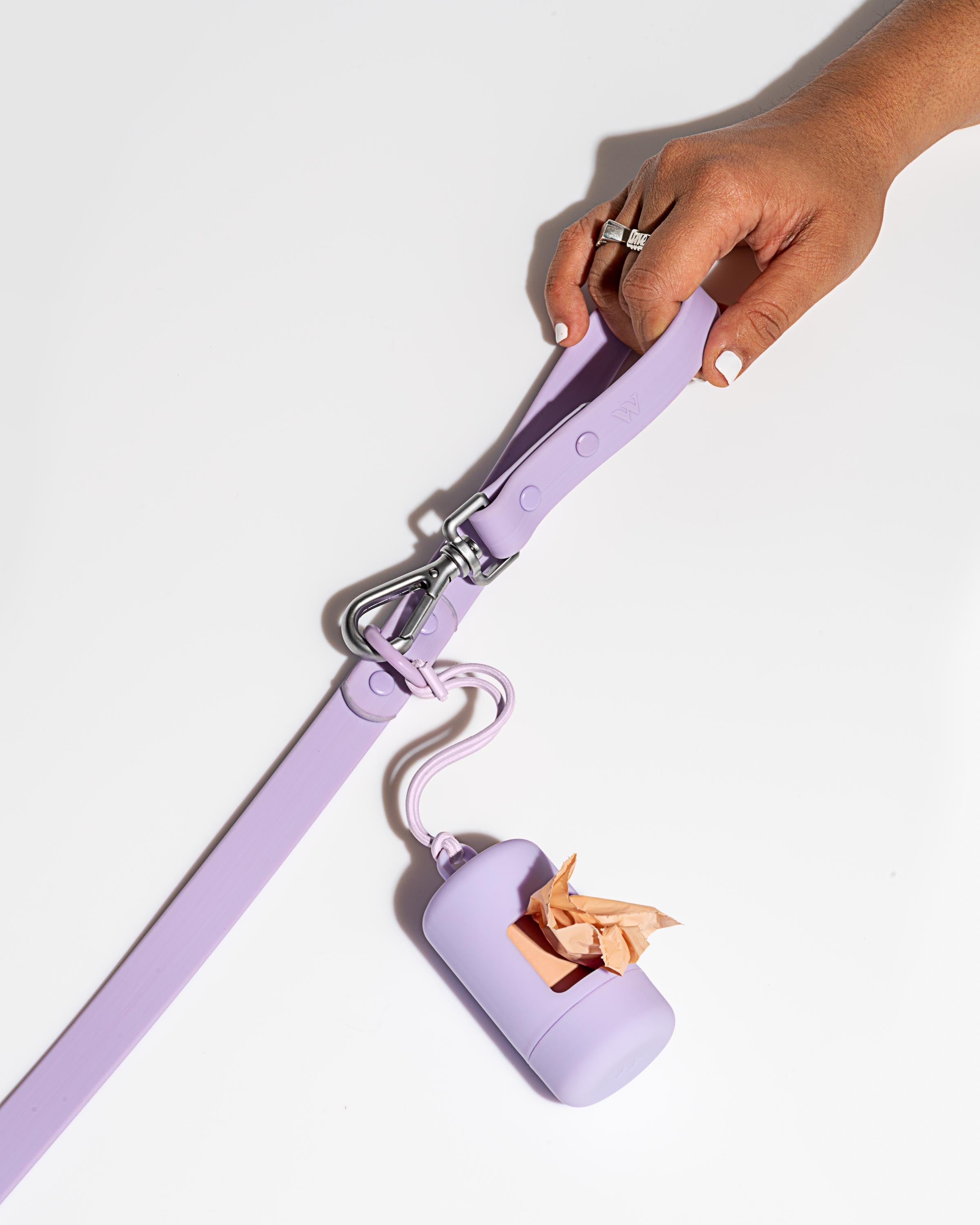 Dog Leash