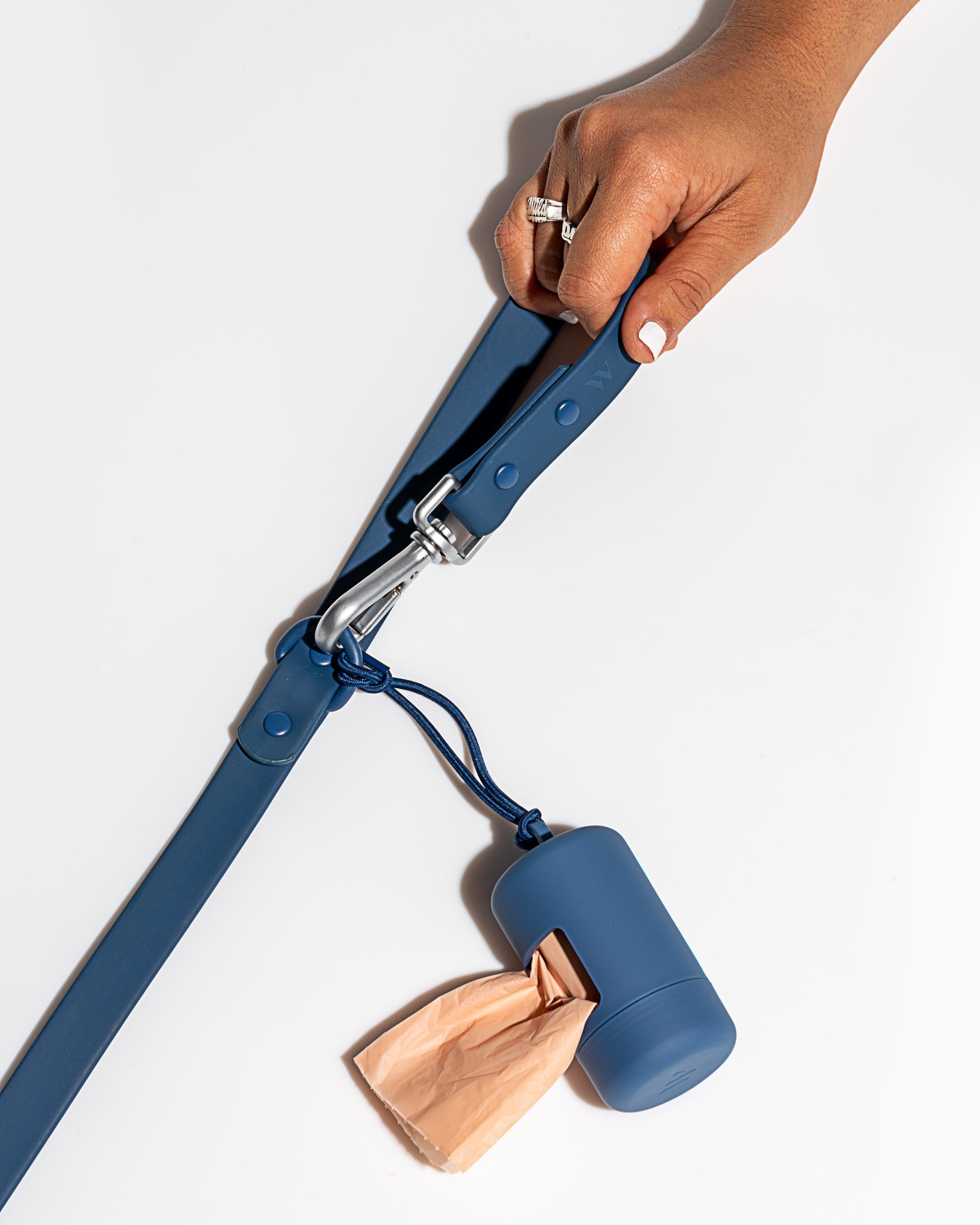 Dog Leash