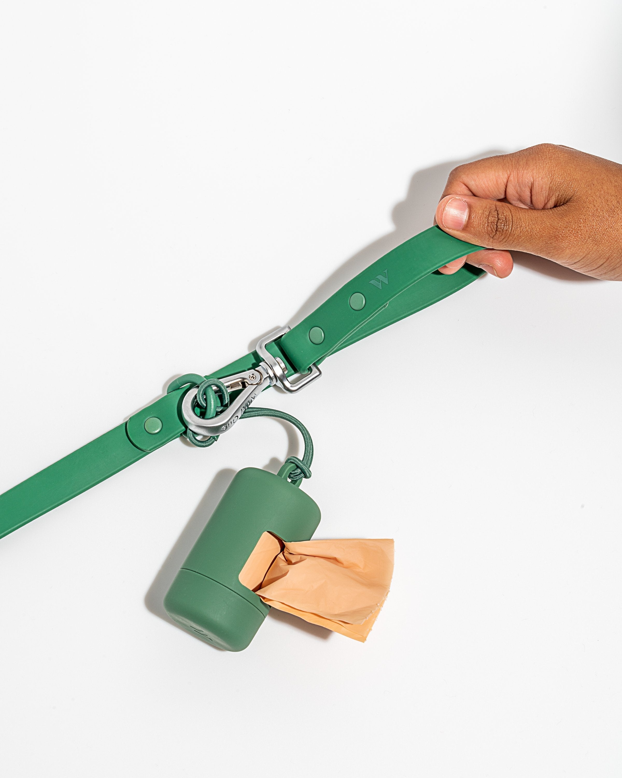 Dog Leash