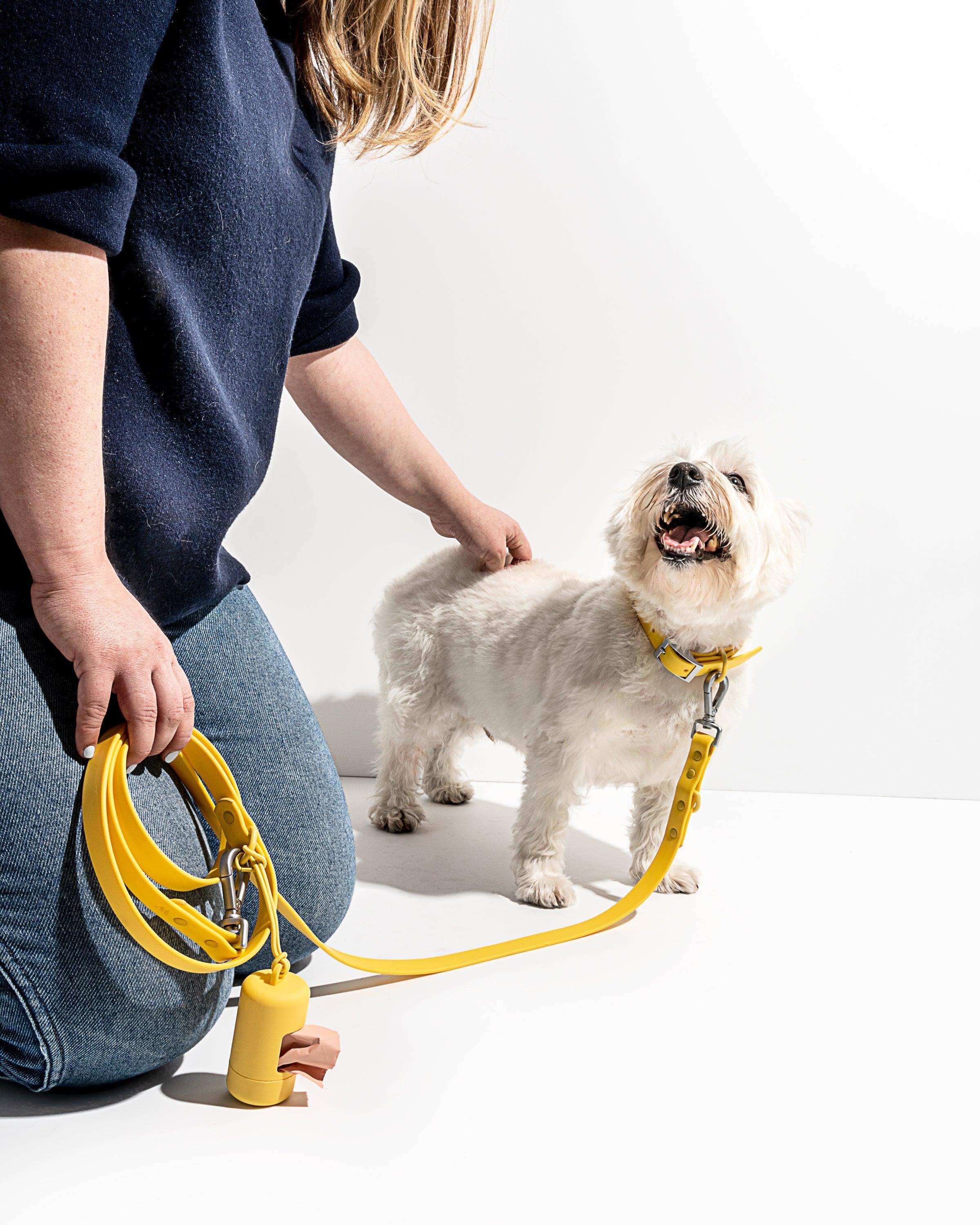 Dog Leash