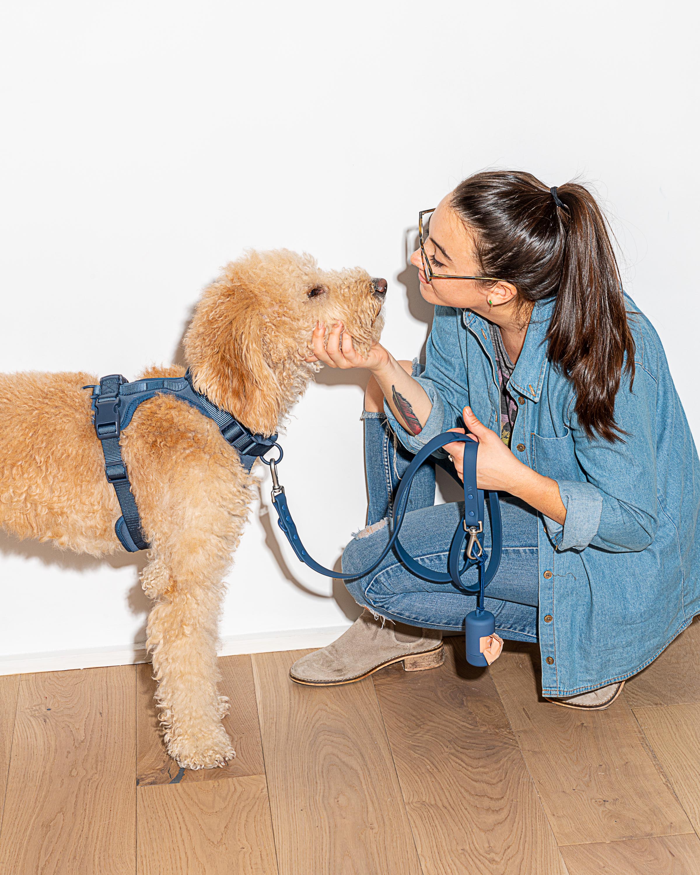 Dog Leash