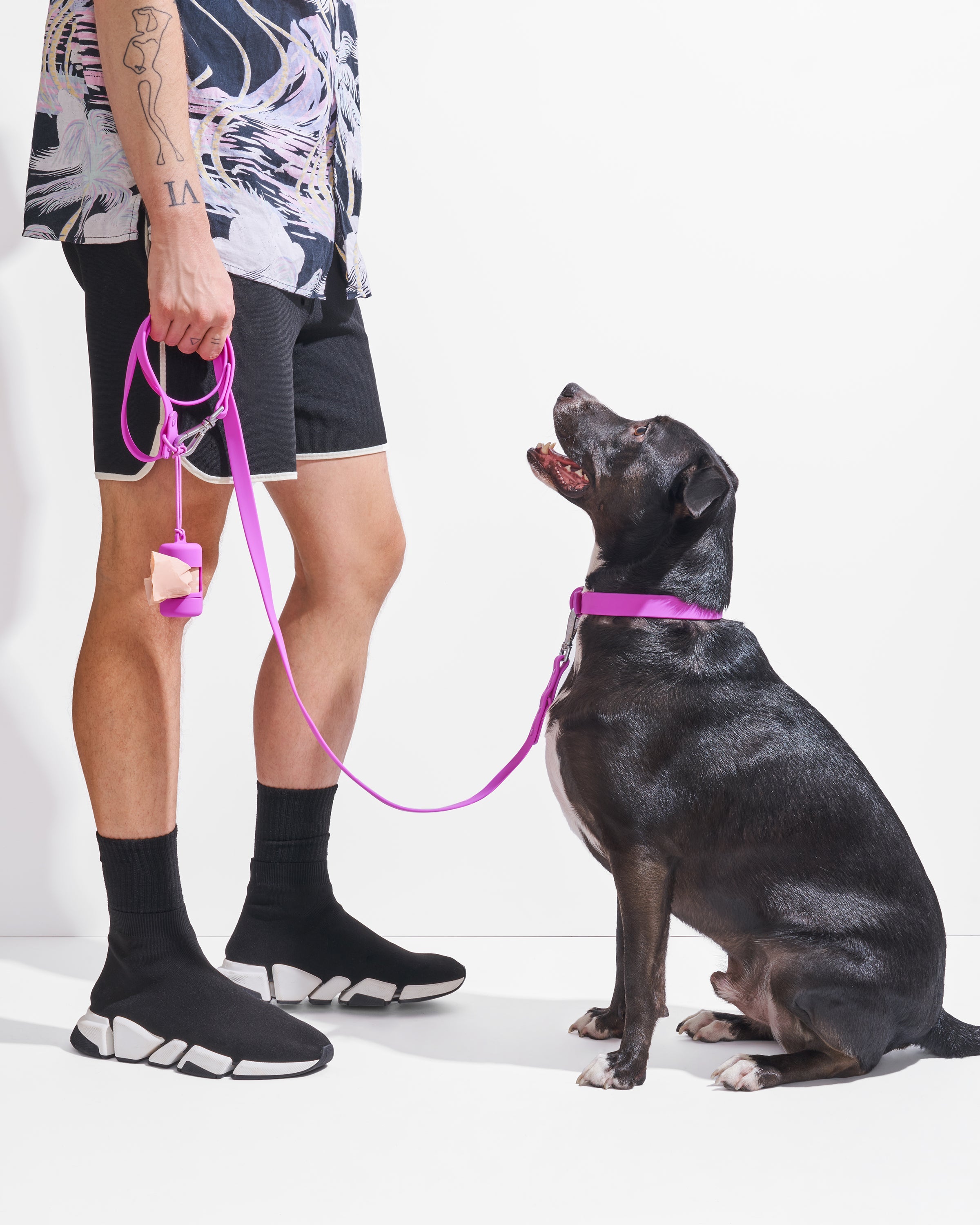 Dog Leash
