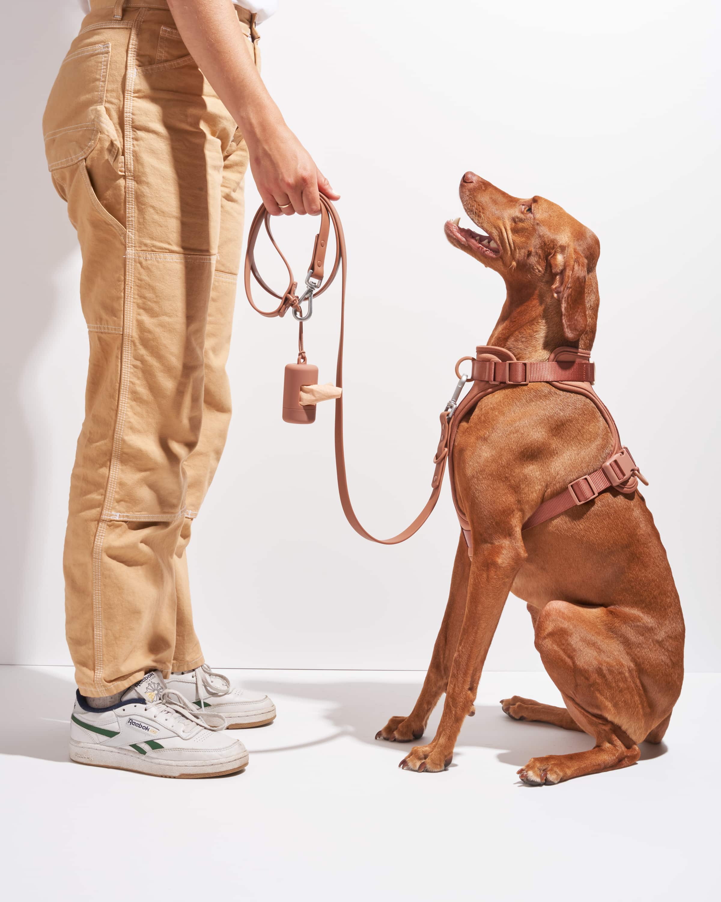Dog Leash