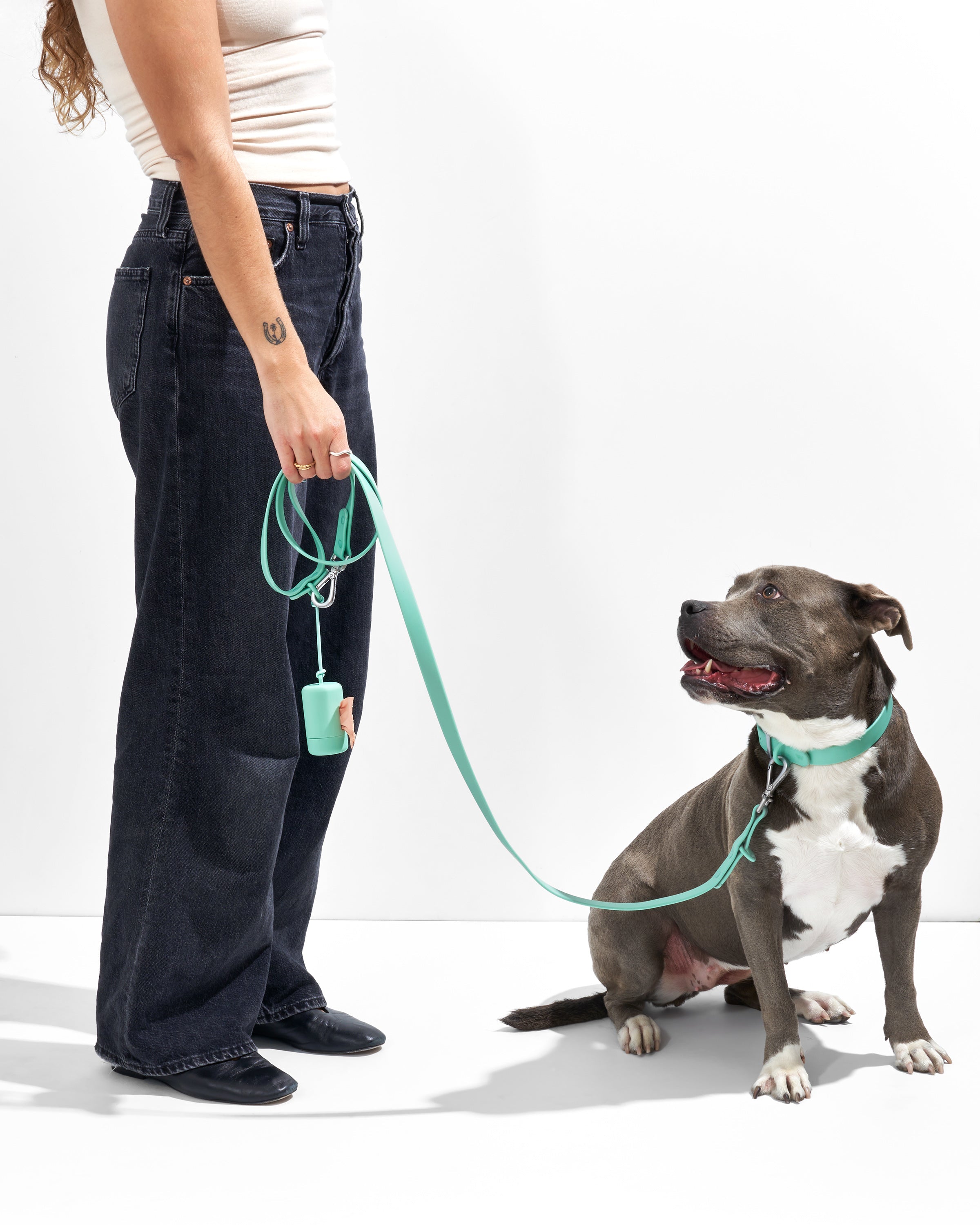 Dog Leash