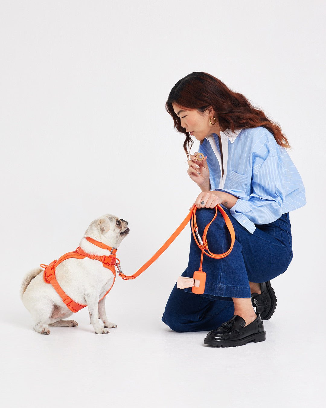 Dog Leash