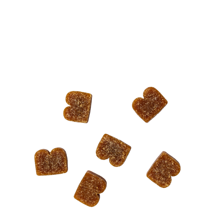 BIXBI® Pocket Trainers® for Dogs – Bacon Recipe