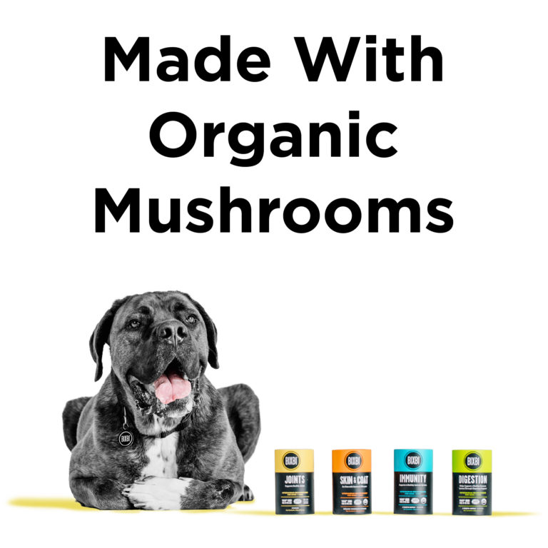 BIXBI® Joint Supplement
