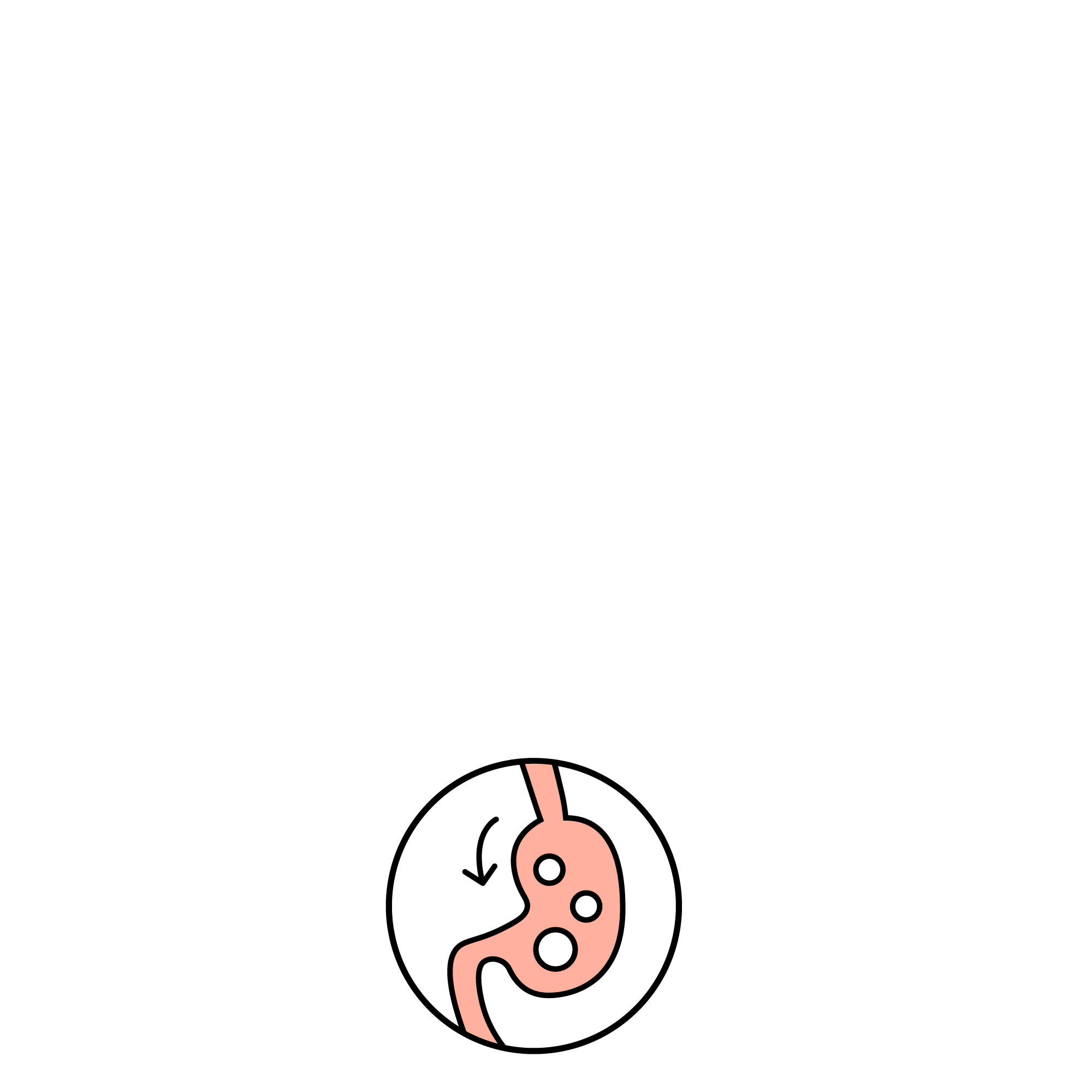 Rawbble® Dry Food for Dogs – Beef Recipe