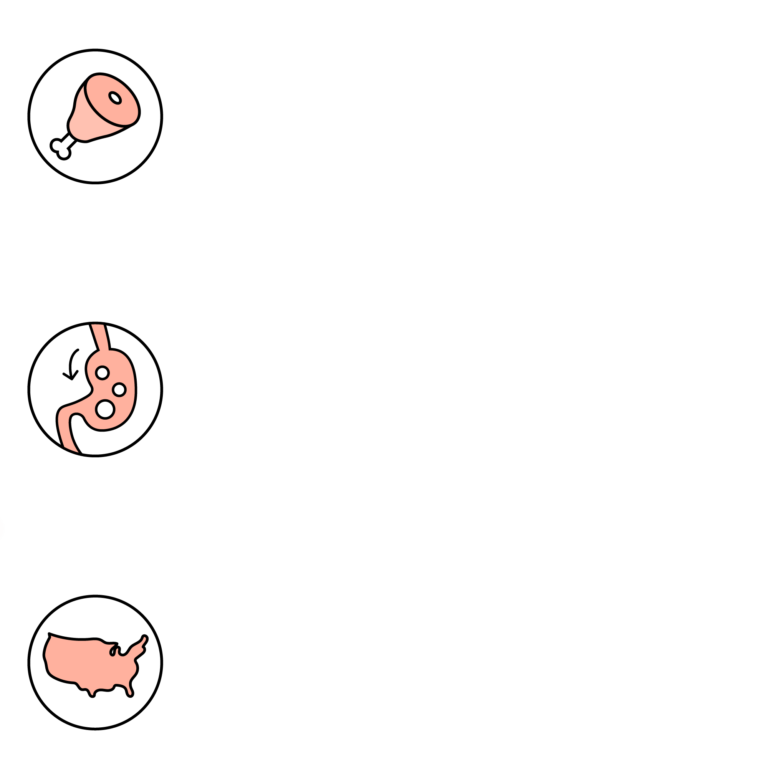 Rawbble® Freeze-Dried Food for Dogs – Beef Recipe