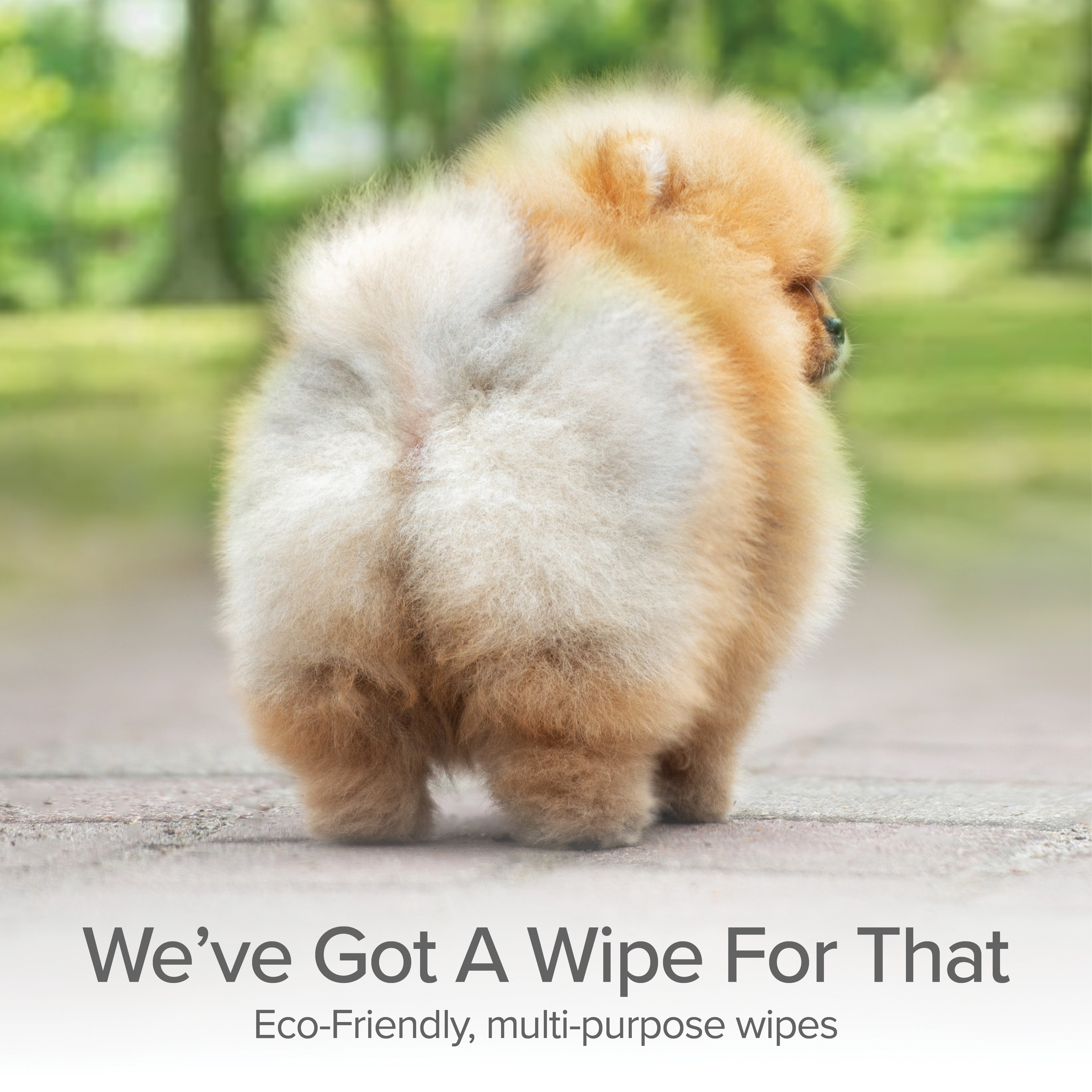 Grooming and Cleansing Wipes (Lavender and Rosemary)
