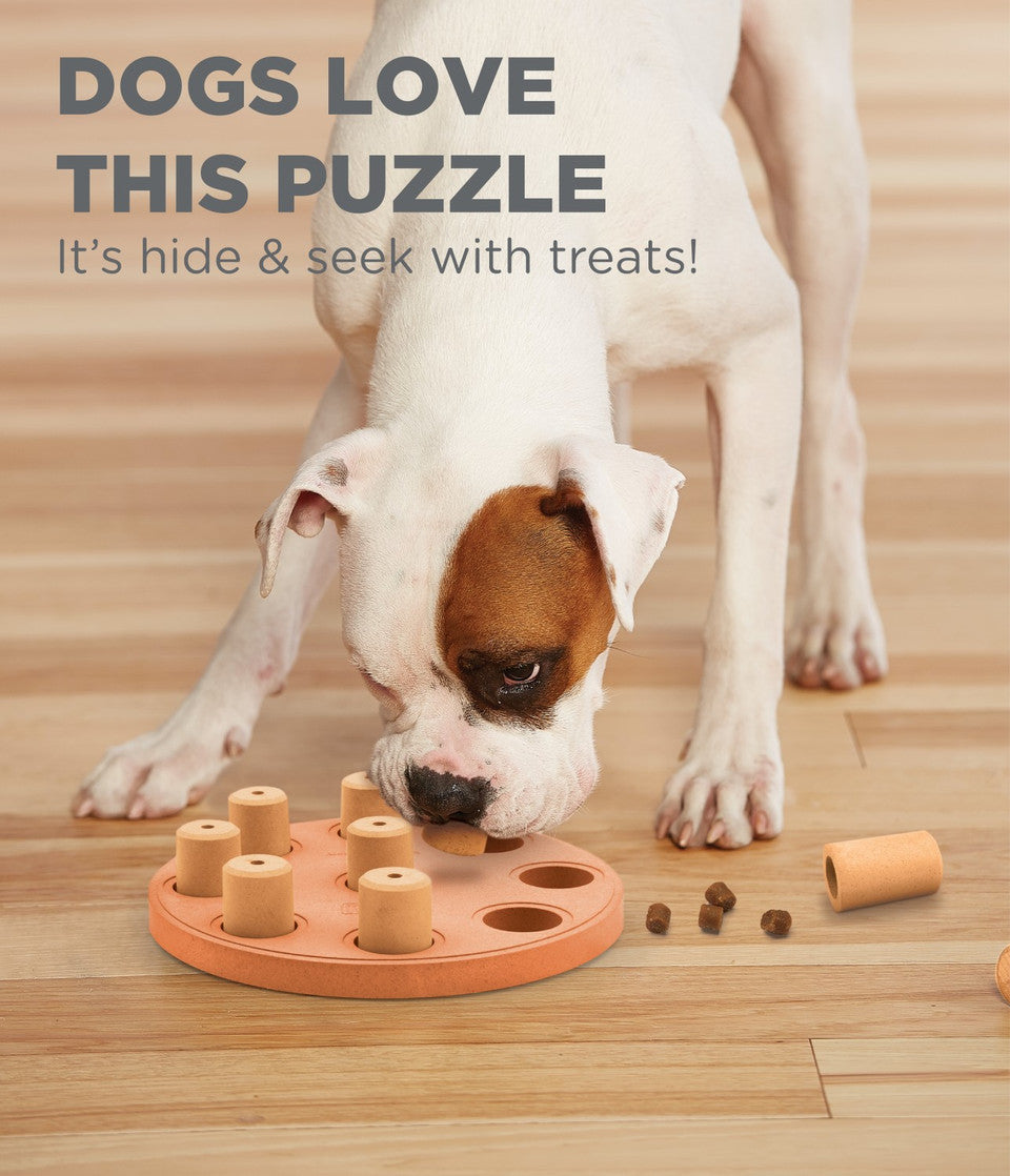 Dog Smart Composite Interactive Treat Puzzle Dog Toy, Orange