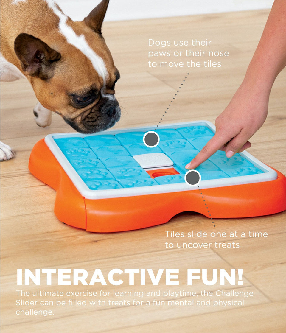 Challenge Slider Interactive Treat Puzzle Dog Toy, Multi