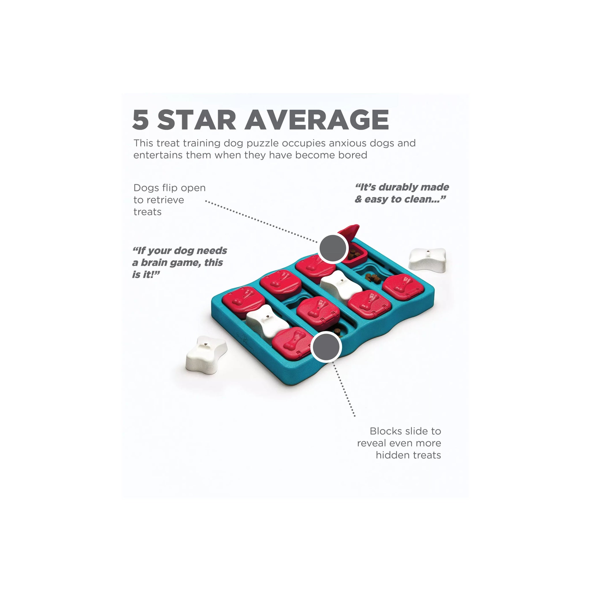 Anxiety & Behavior - Eva Pet - Eva Pet