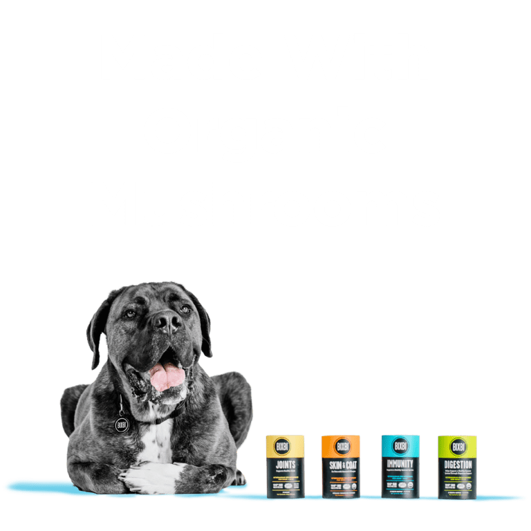 BIXBI® Immunity Supplement - Eva Pet - Bixbi