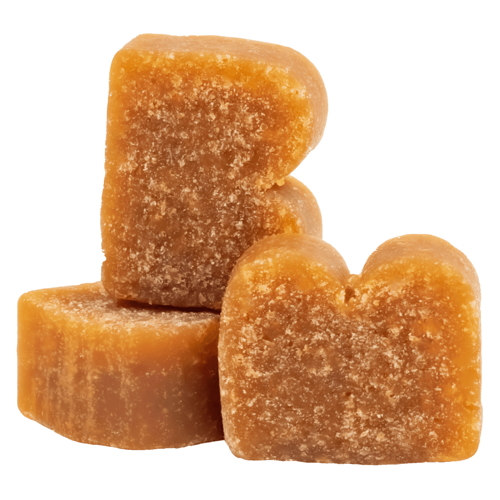 BIXBI® Pocket Trainers® for Dogs – Salmon Recipe - Eva Pet - Bixbi