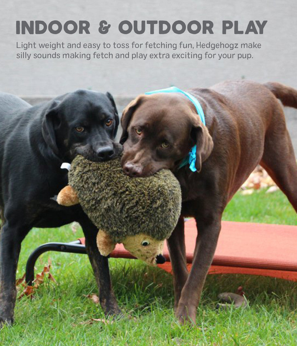 Hedgehogz Dog Toy