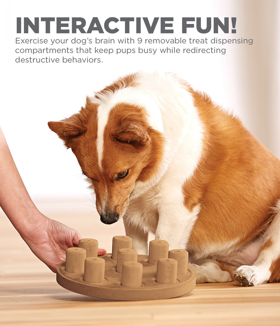 Dog Smart Composite Interactive Treat Puzzle Dog Toy, Tan