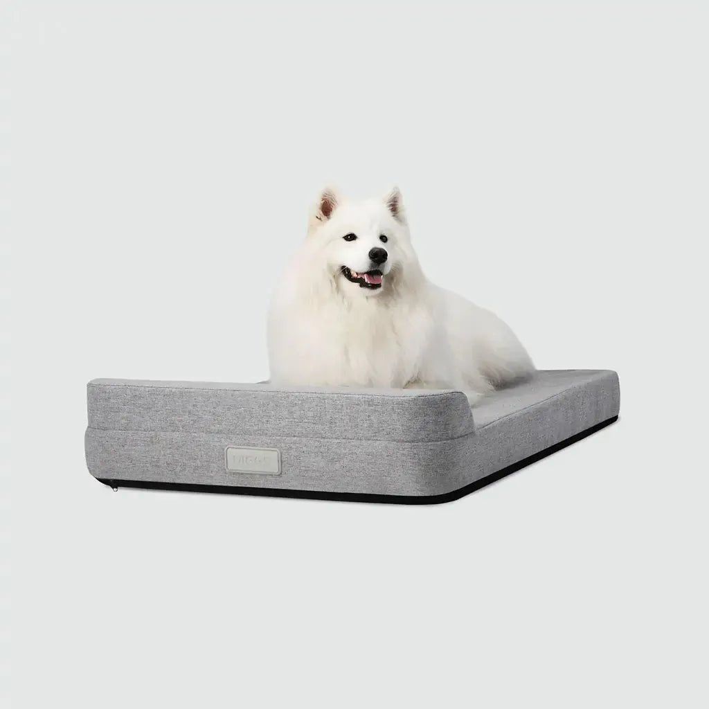 Bolstr Evolv Bed - Eva Pet - Diggs