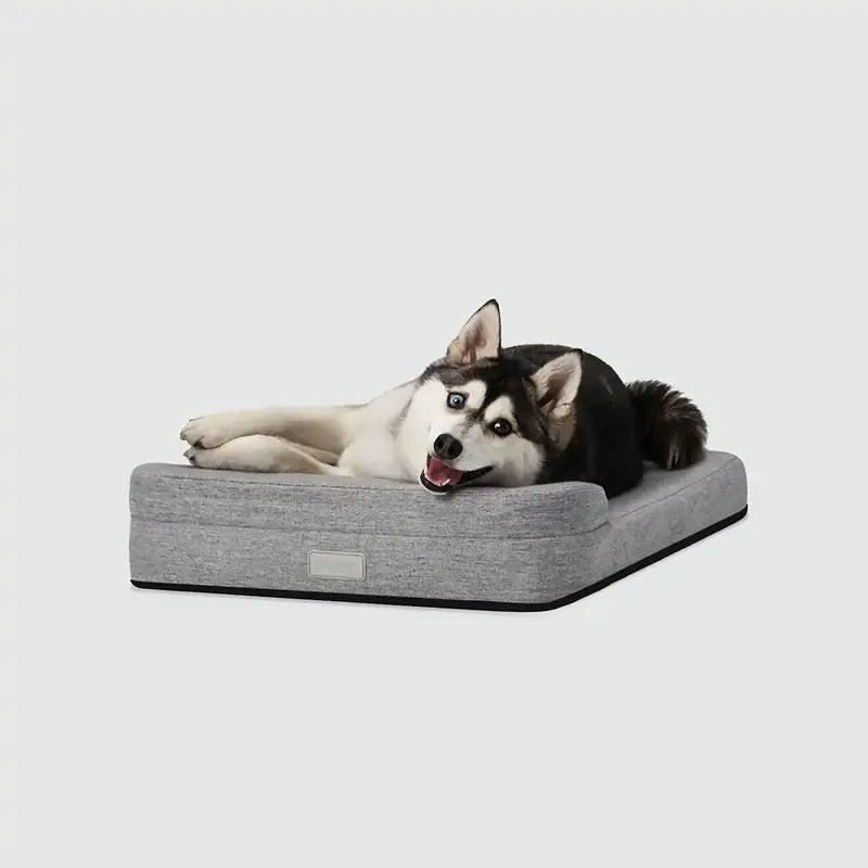 Bolstr Evolv Bed - Eva Pet - Diggs