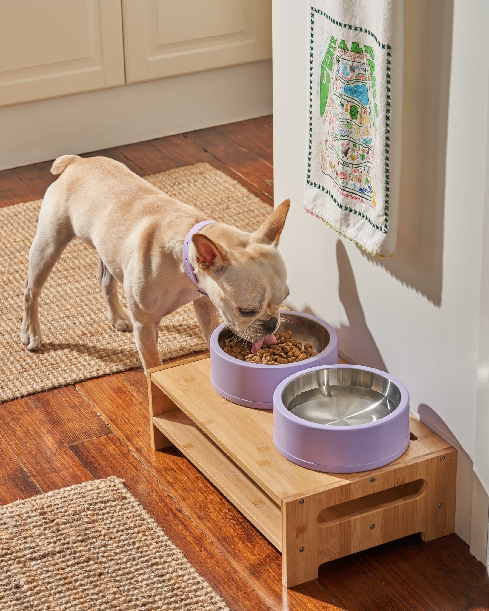 Bowl Kit - Eva Pet - Wild One