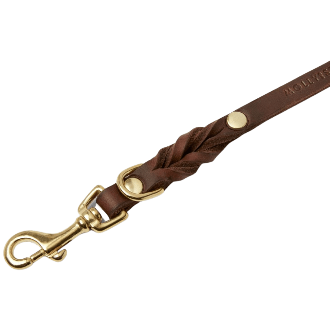 Butter Leather 3x Adjustable Dog Leash - Classic Brown - Eva Pet - mollyandstitchus